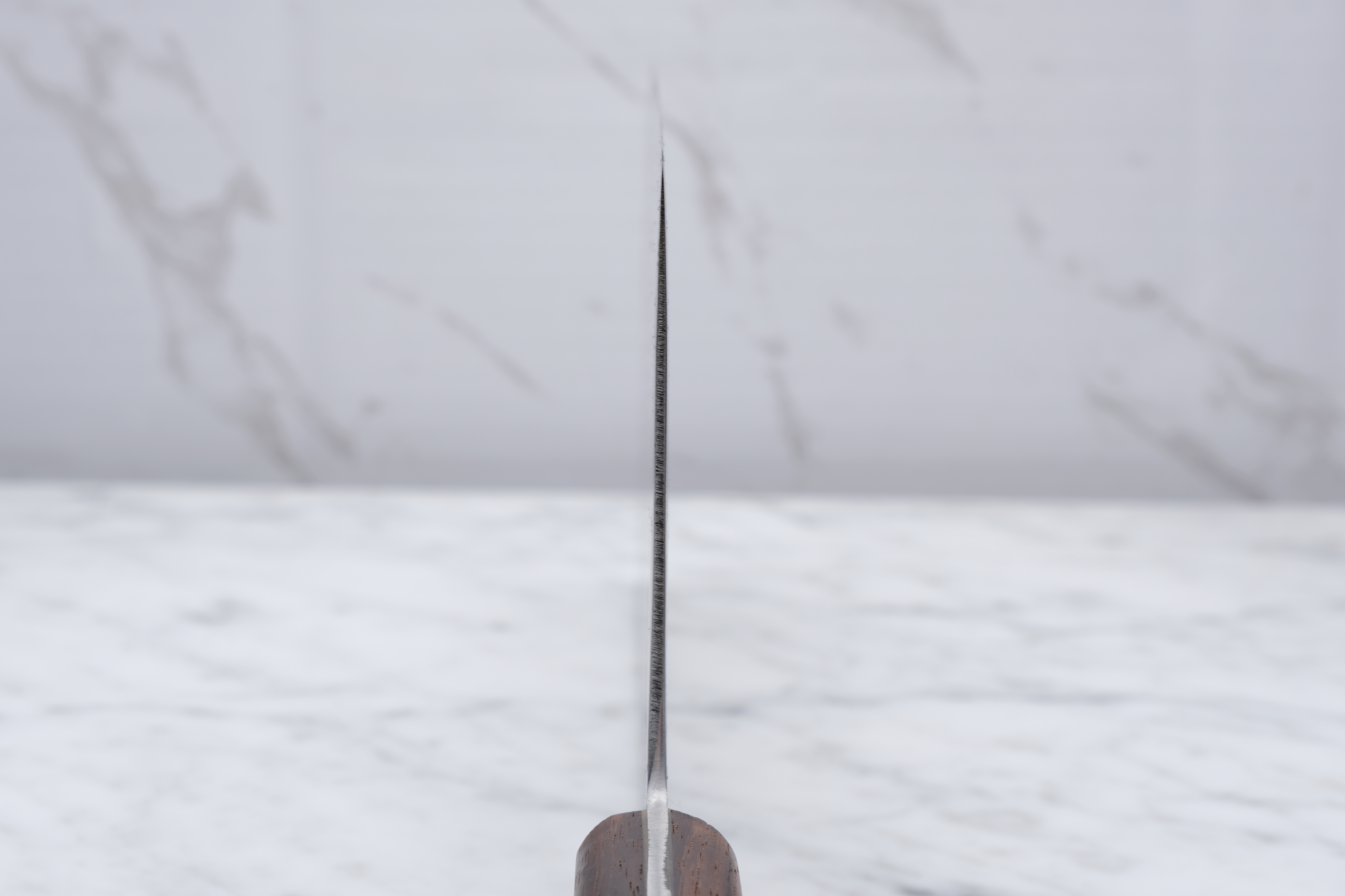 Sakai Kikumori Gokujyo 220mm Chuka-Bocho Shirogami #2