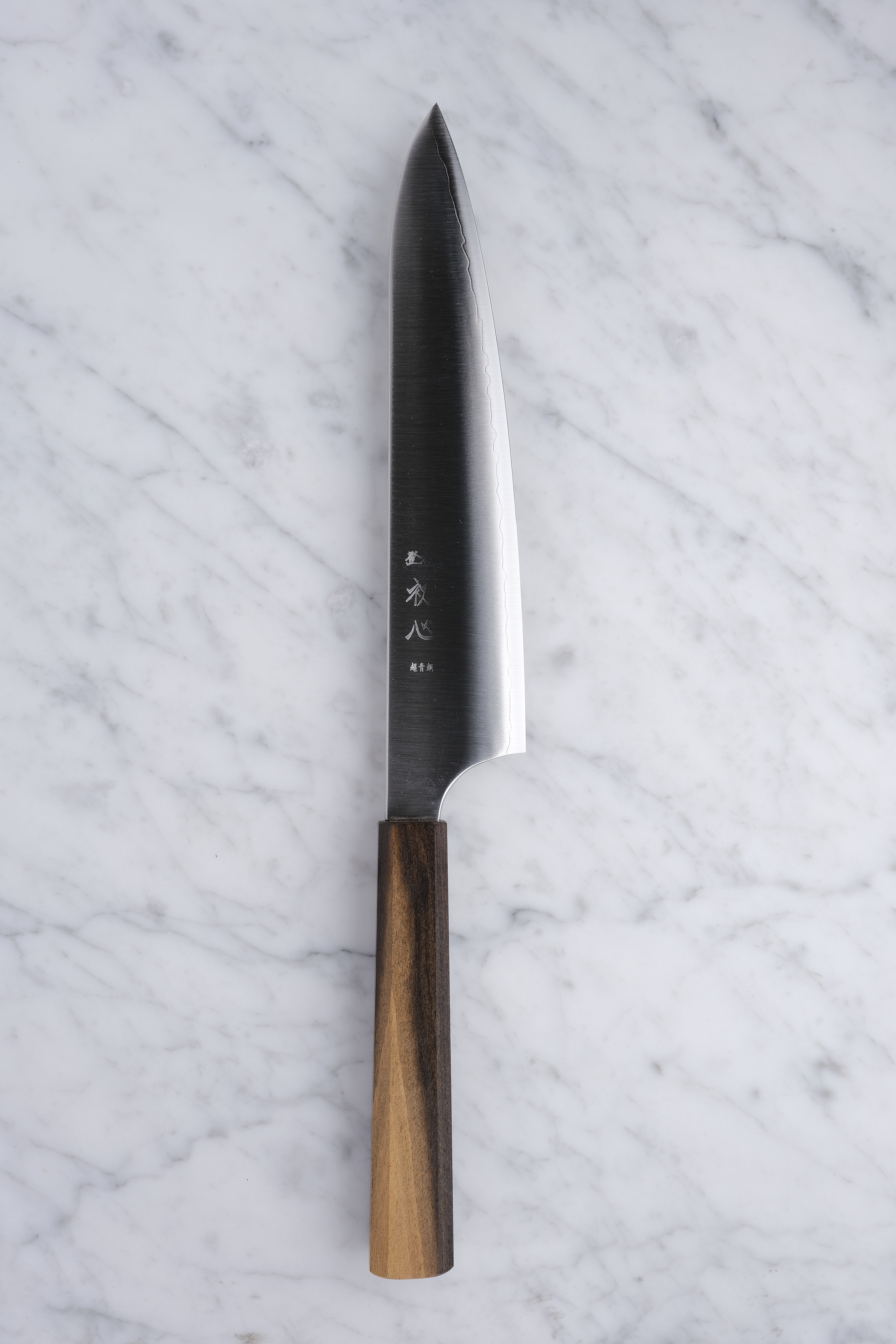 Hatsukokoro Hayabusa Blue Super 210mm. Chef's knife