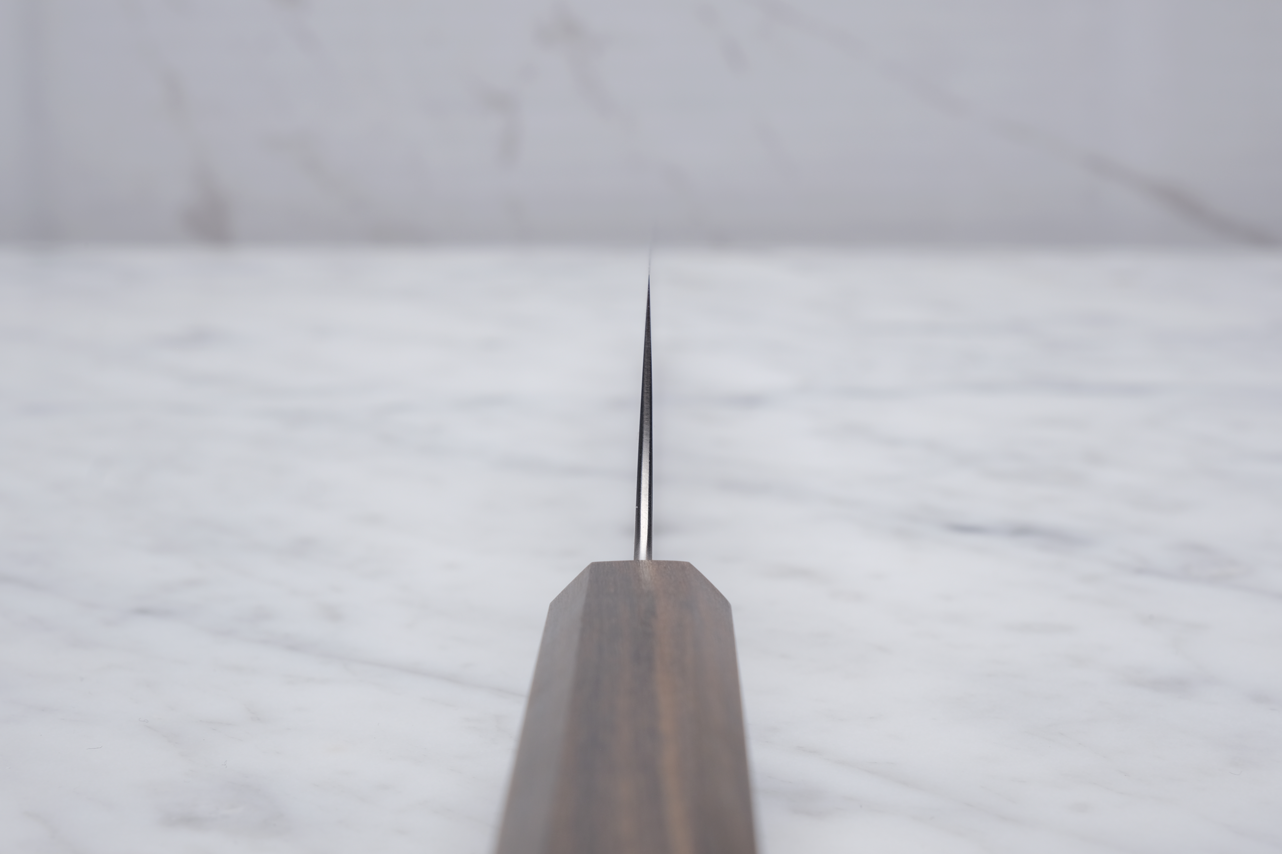 Hatsukokoro Hayabusa Blue Super 210mm. Chef's knife