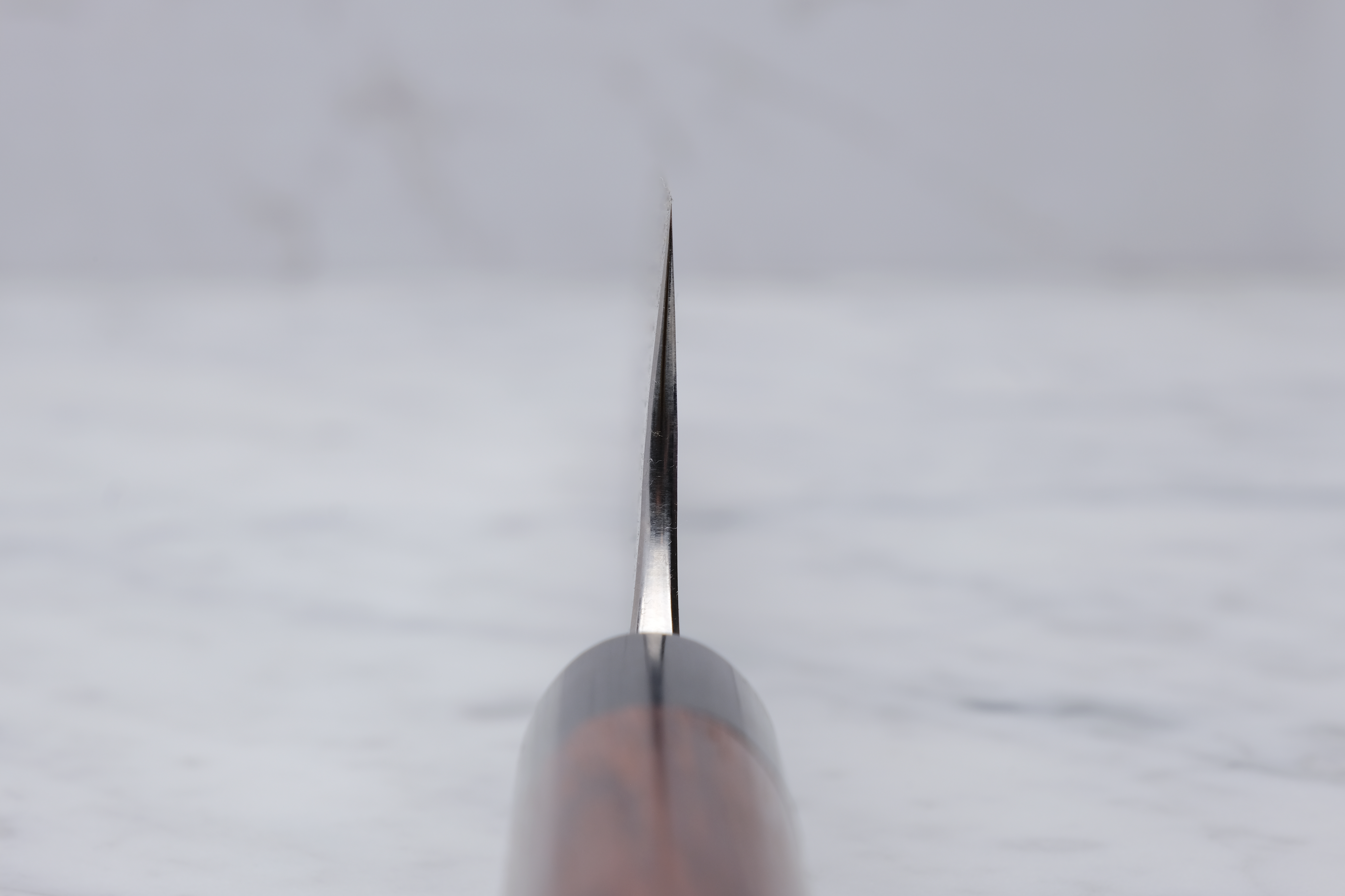 Anryu Tsushima 210mm. Gyuto blau #2
