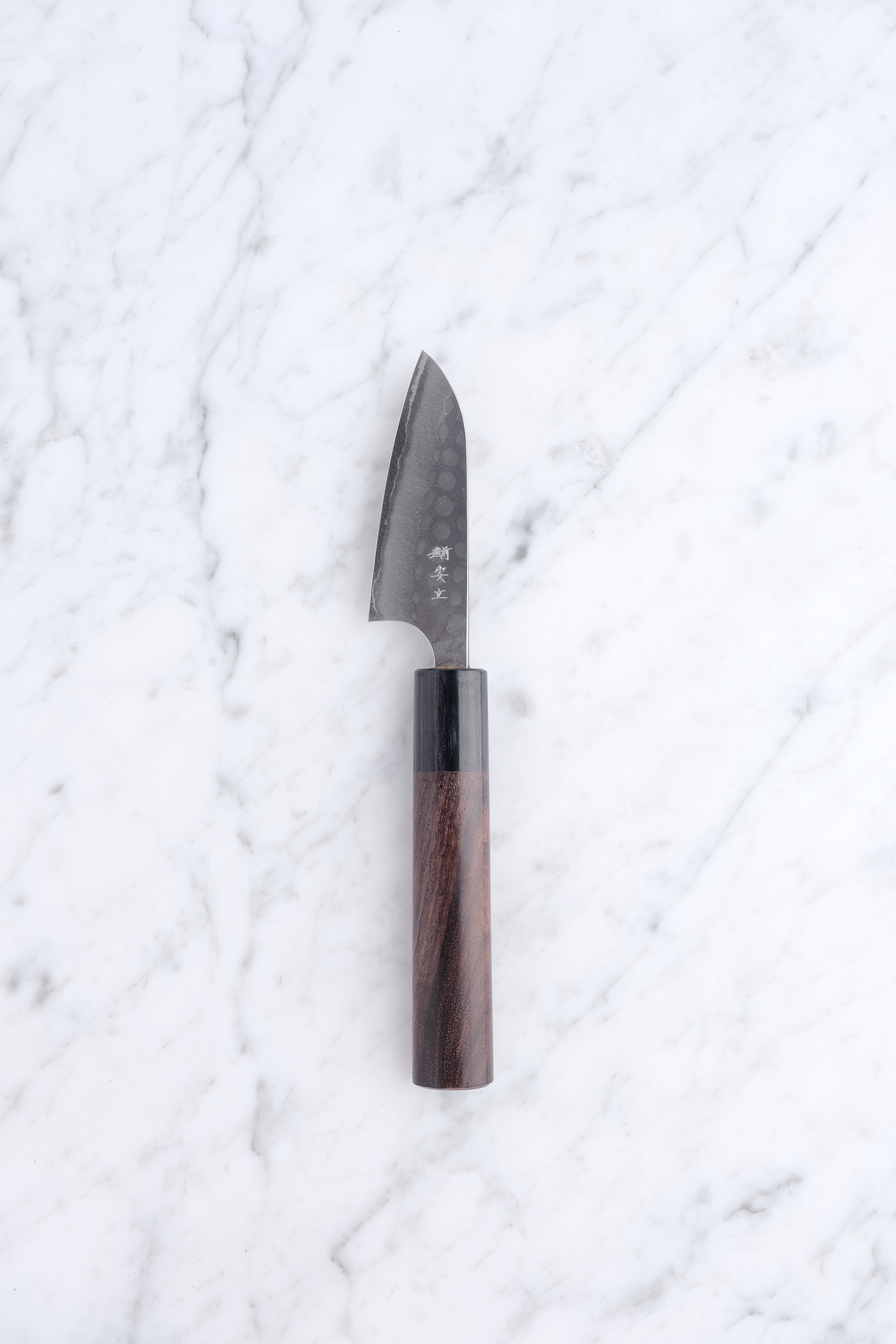 Anryu Tsushime 210mm. Gyuto blue #2
