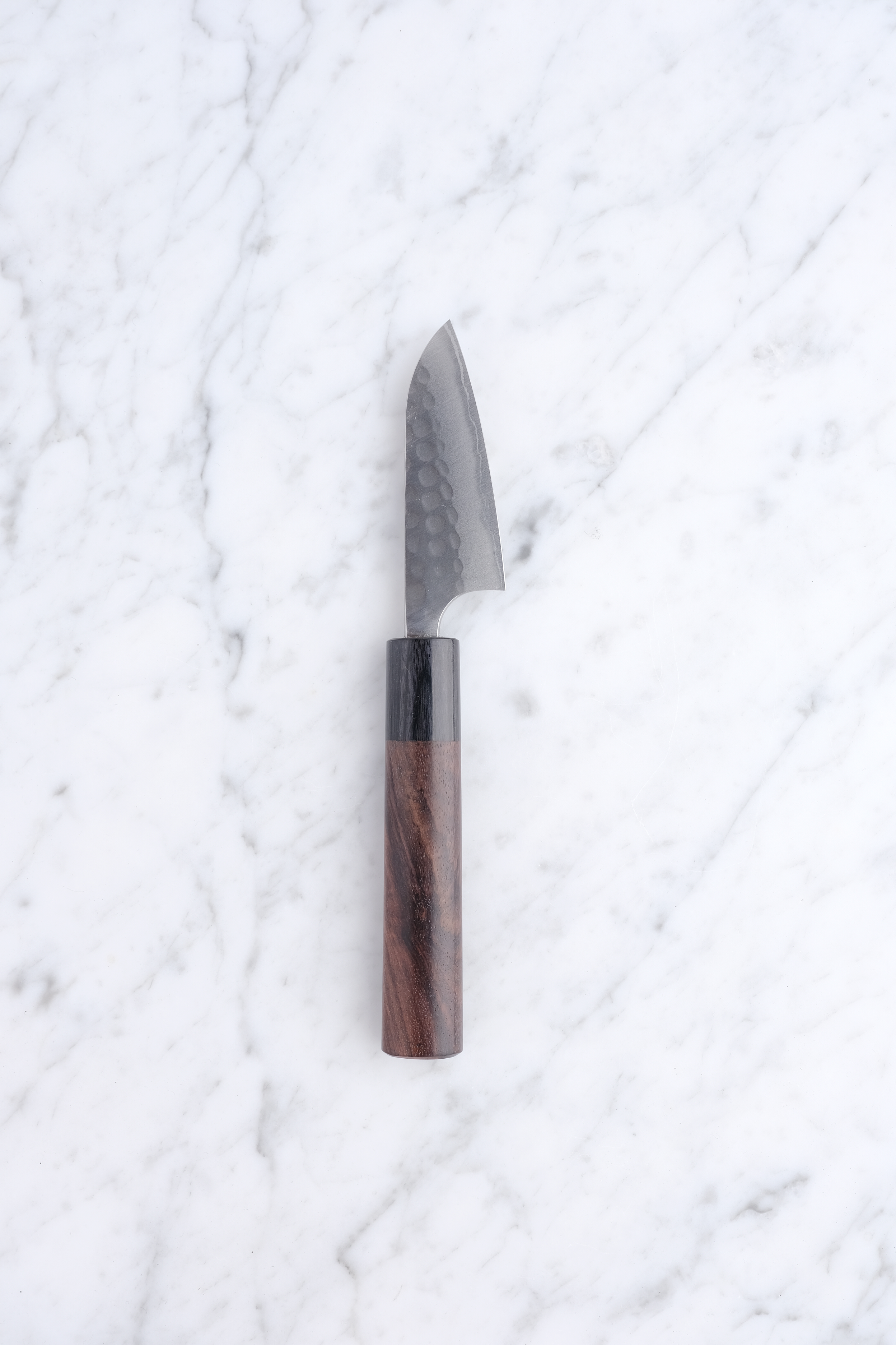 Anryu Tsushime 210mm. Gyuto blue #2