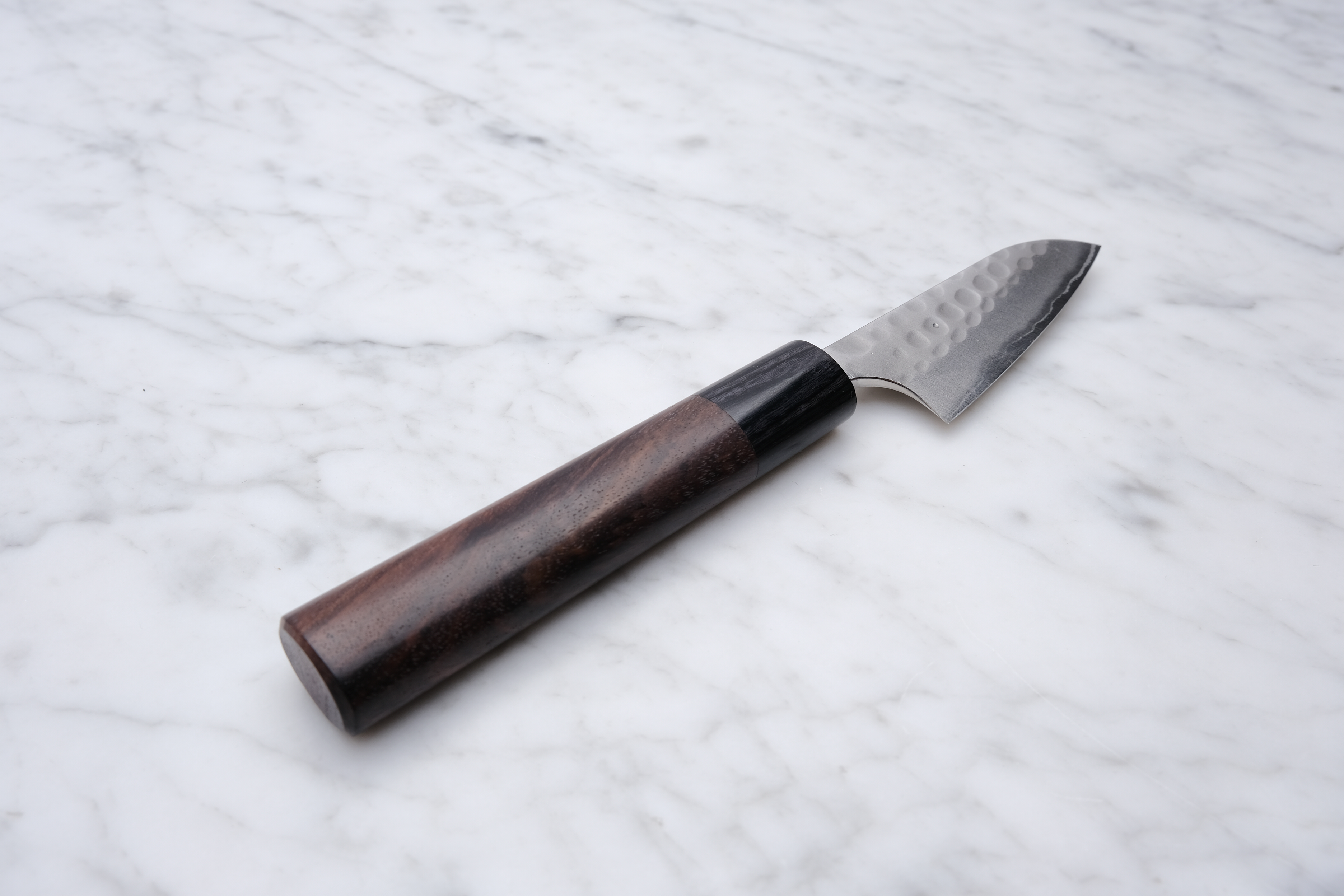 Anryu Tsushime 210mm. Gyuto blue #2