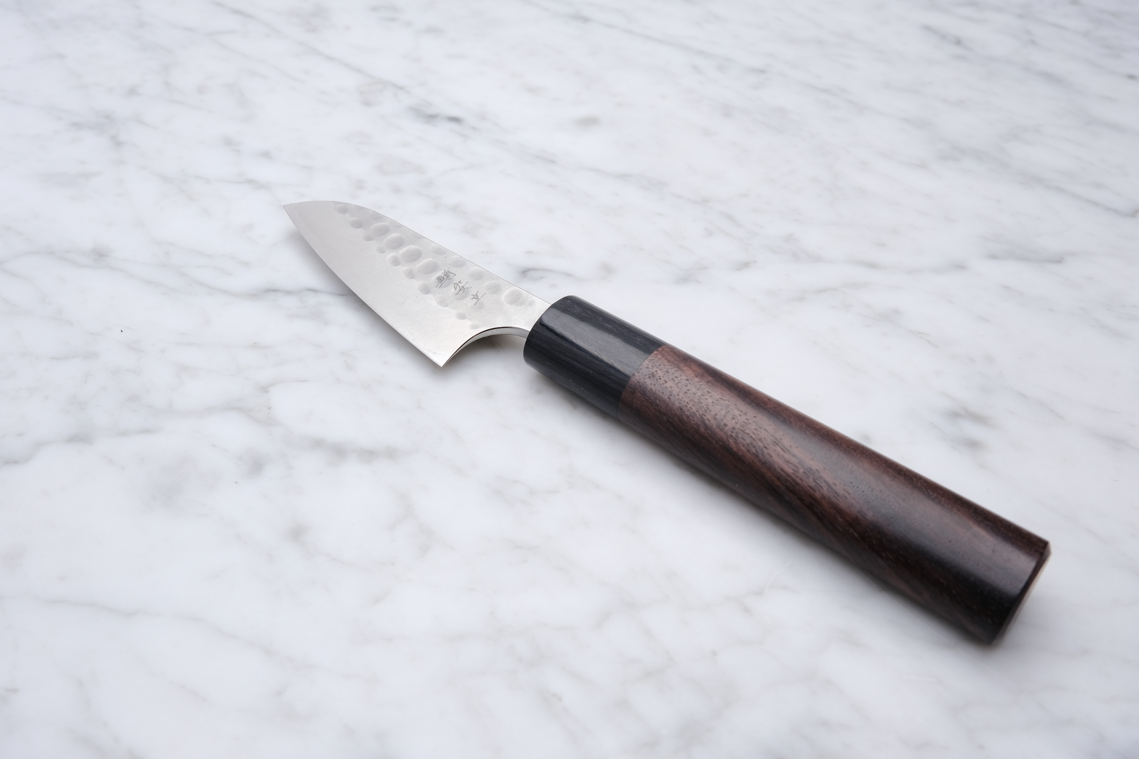 Anryu Tsushime 210mm. Gyuto blue #2