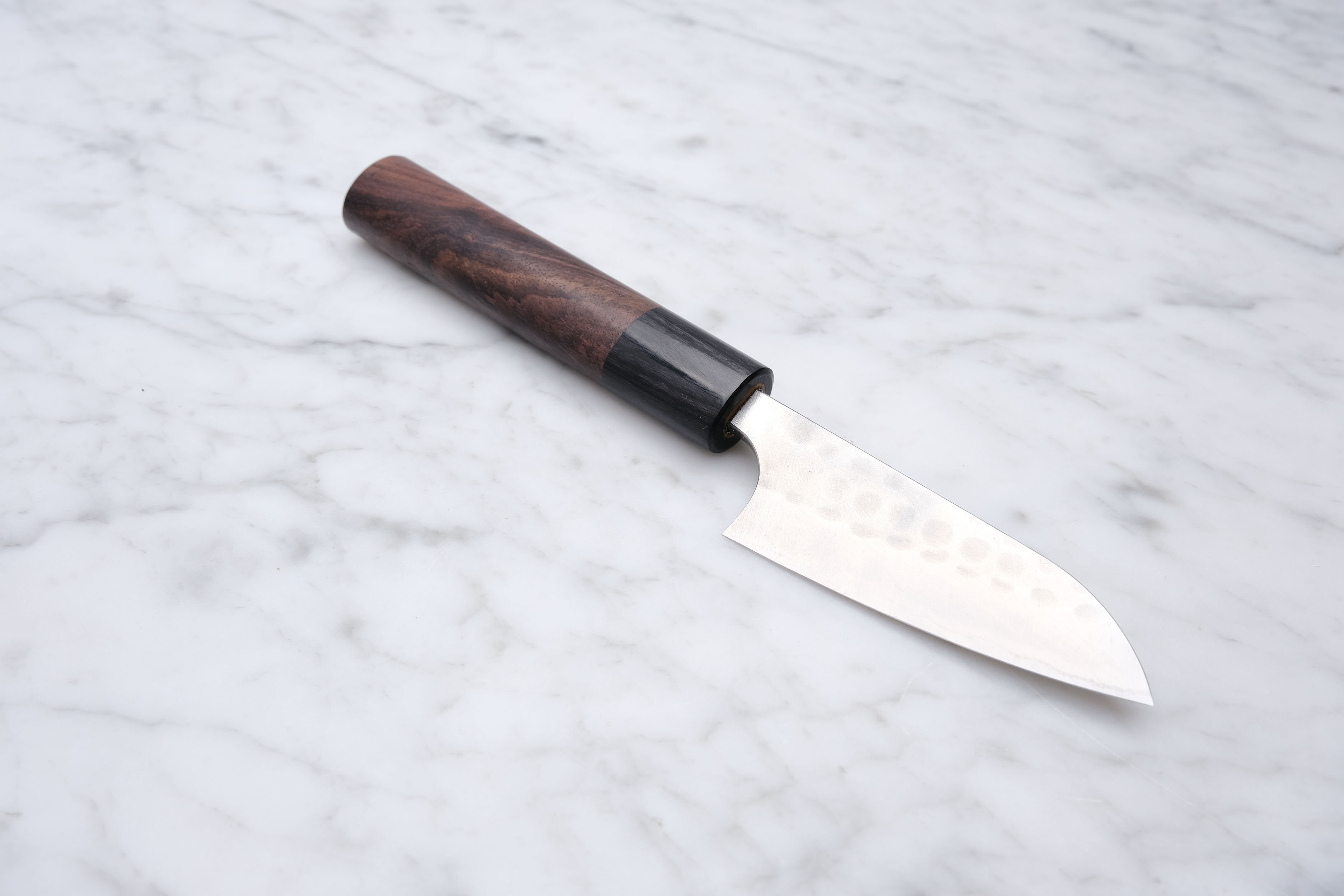 Anryu Tsushime 210mm. Gyuto blue #2