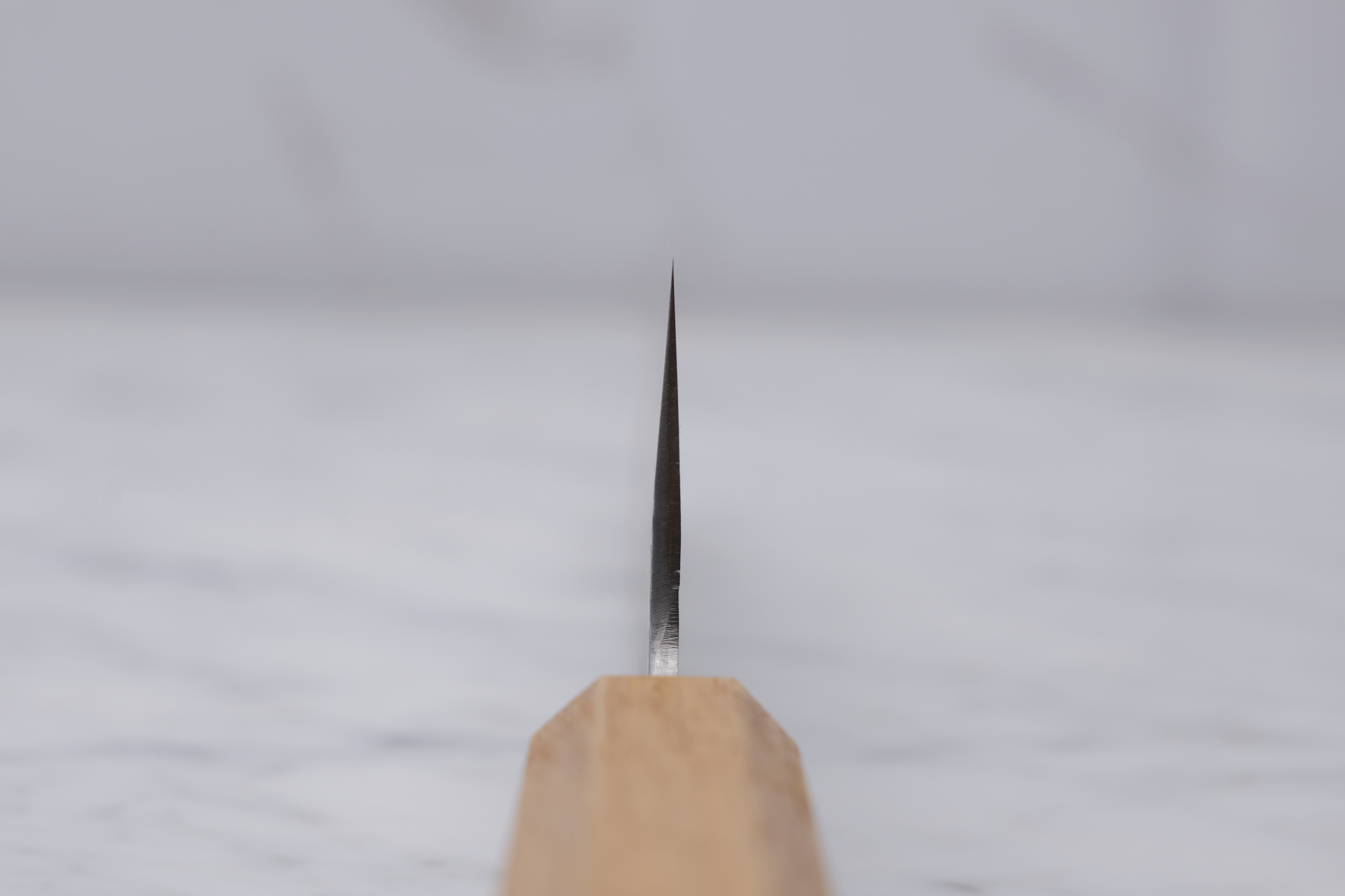 Sakai Kikumori TS10 210mm. Gyuto VG-10