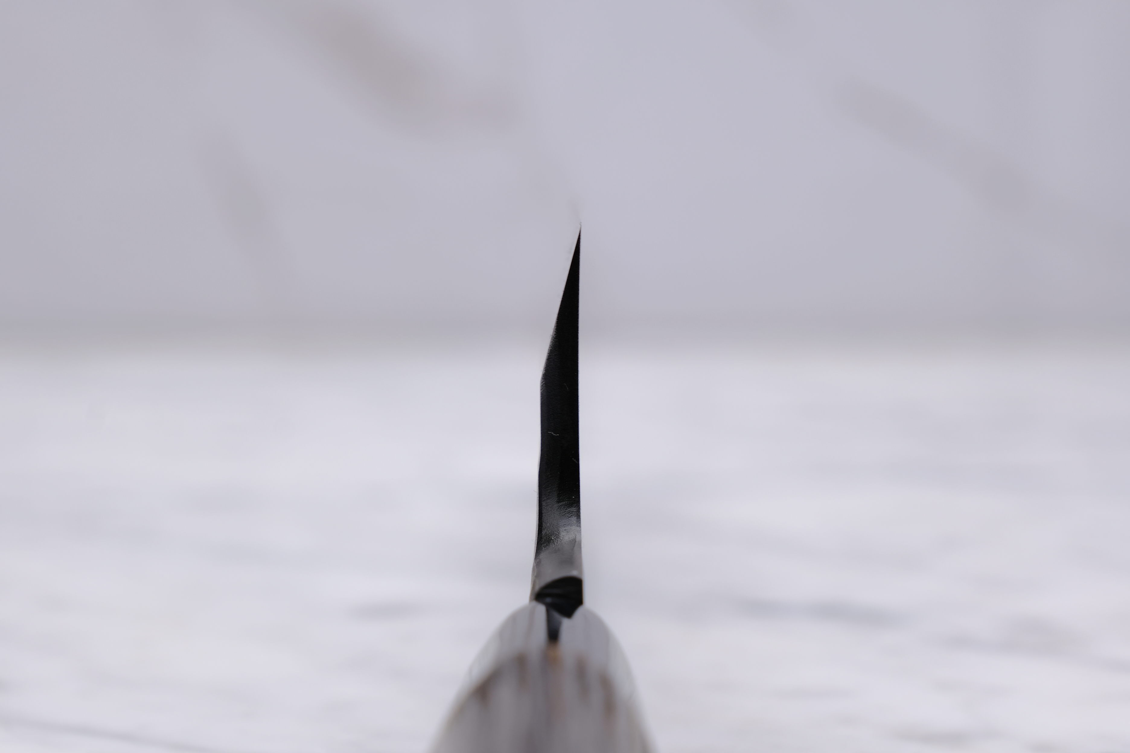 Yamatani Kurouchi Tsuchime 195 mm Mioroshi Deba - Shirogami 2