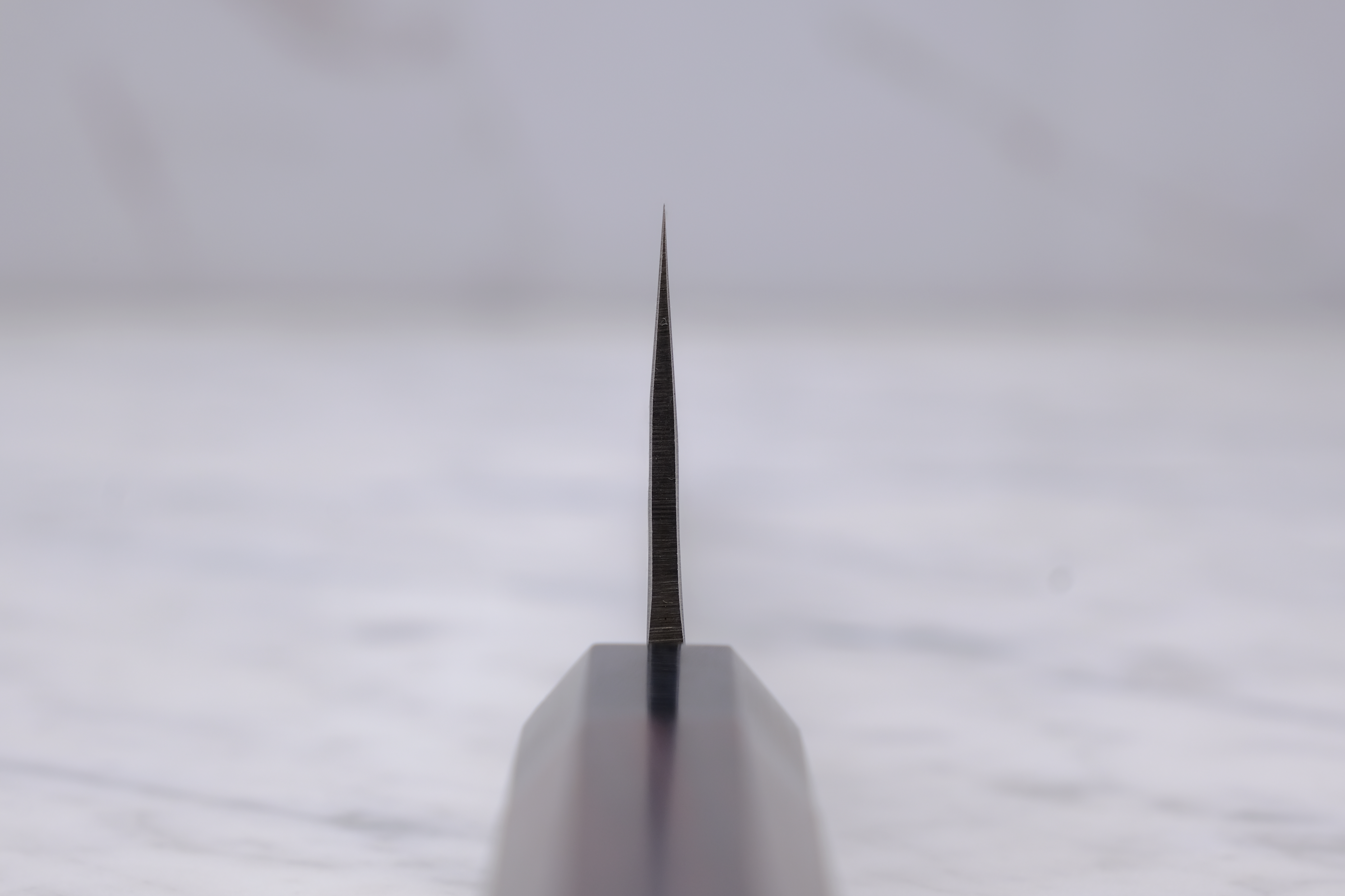 Tadafusa Tsuchime 210 mm Gyuto - SLD