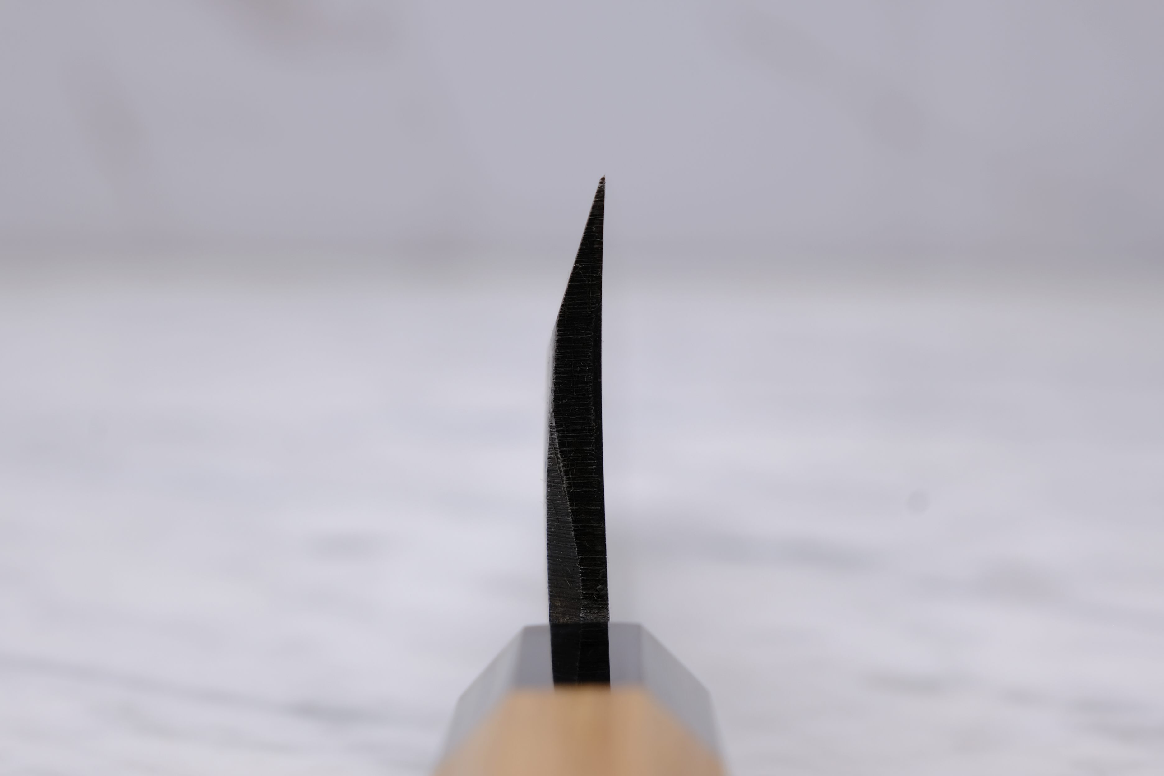 Hatsukokoro Shiragasi 165mm Deba Aogami-2