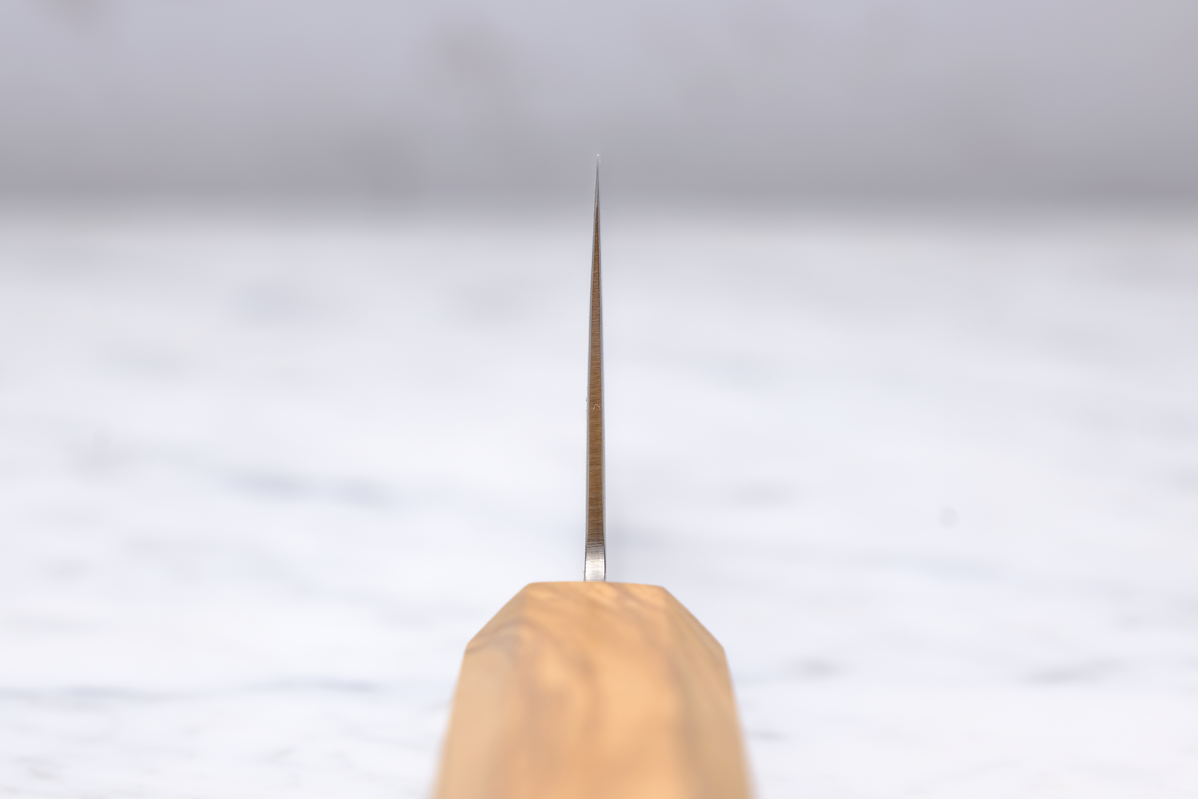 Hatsukokoro Ryuhyo 180 mm Santoku - SG2