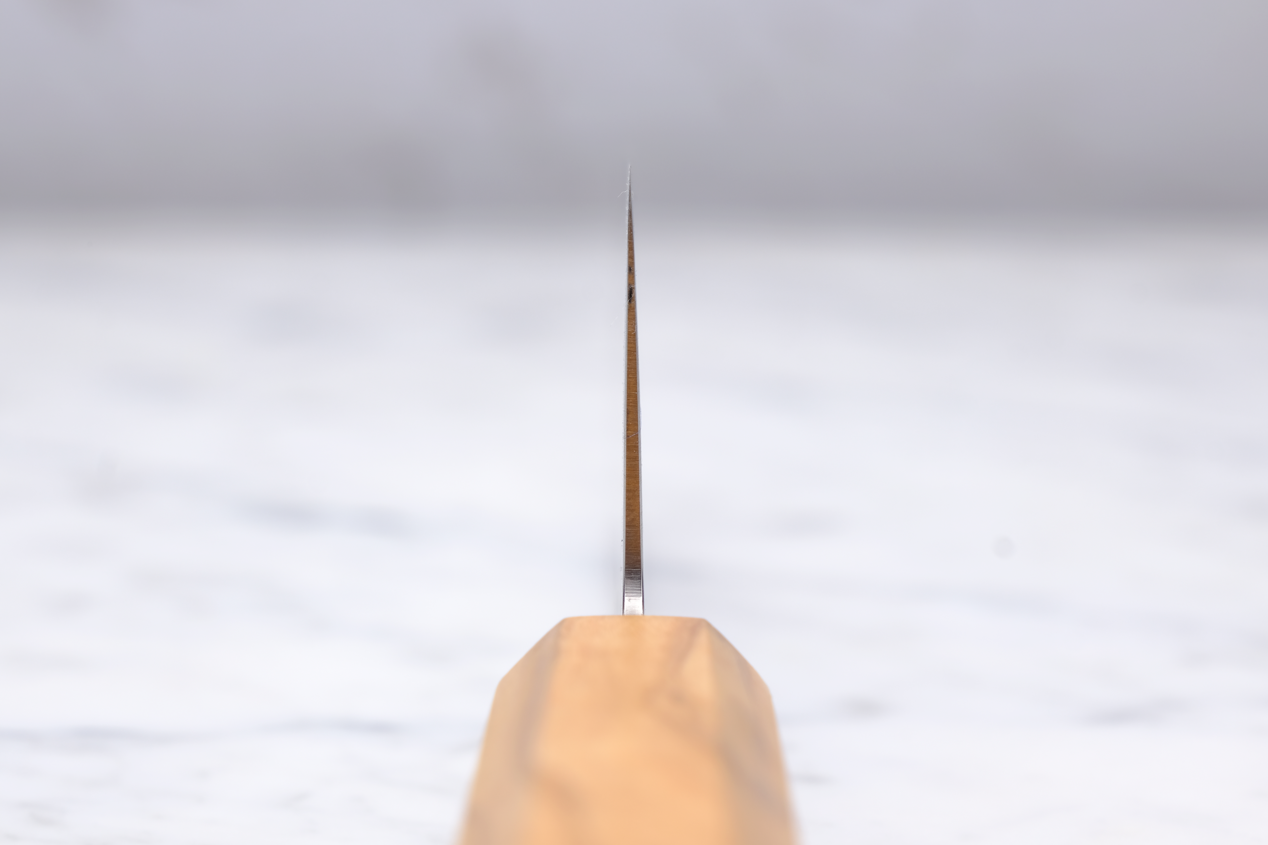 Hatsukokoro Ryuhyo 180 mm Bunka - SG2