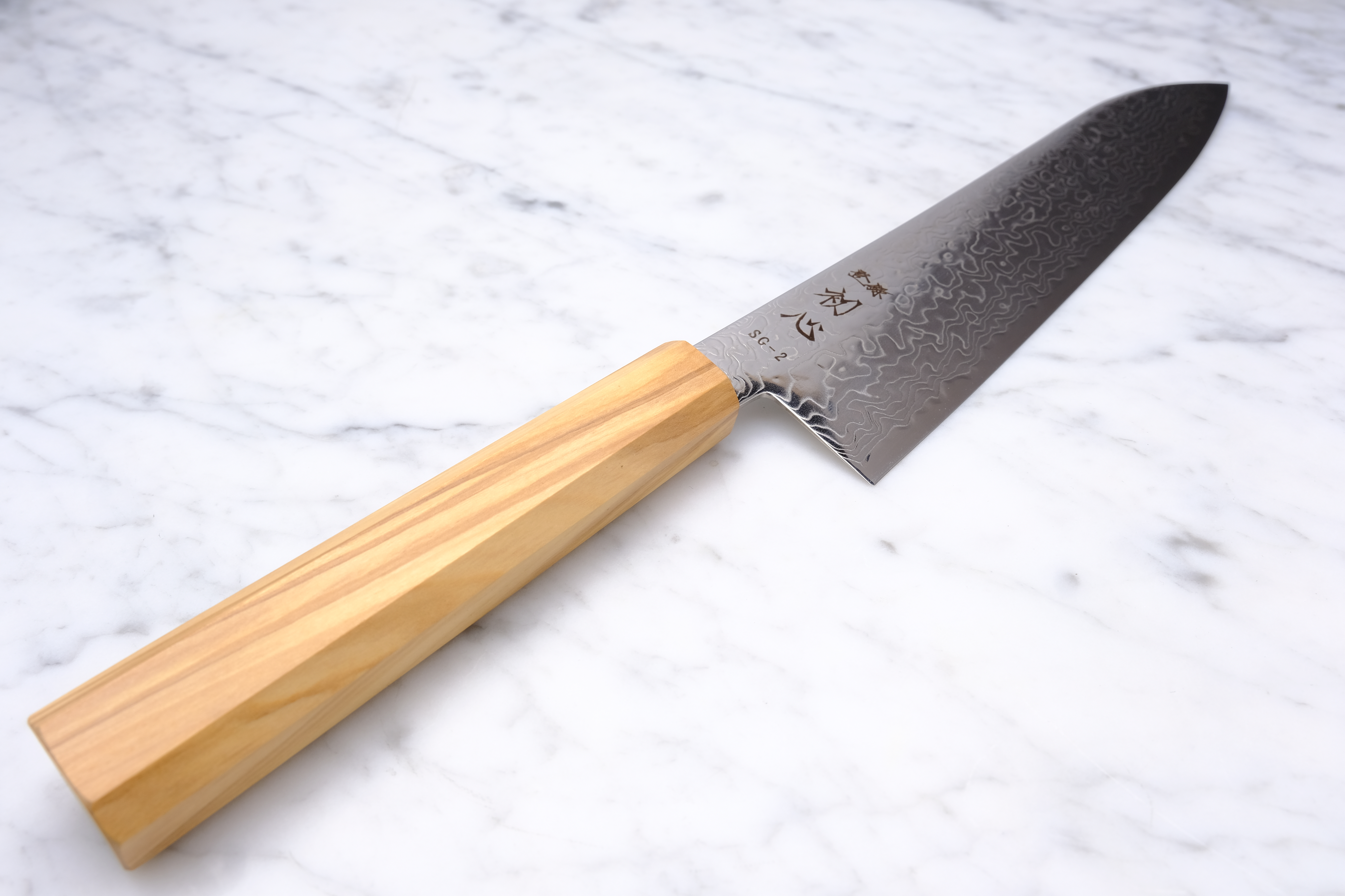 Hatsukokoro Ryuhyo 210 mm Gyuto - SG2