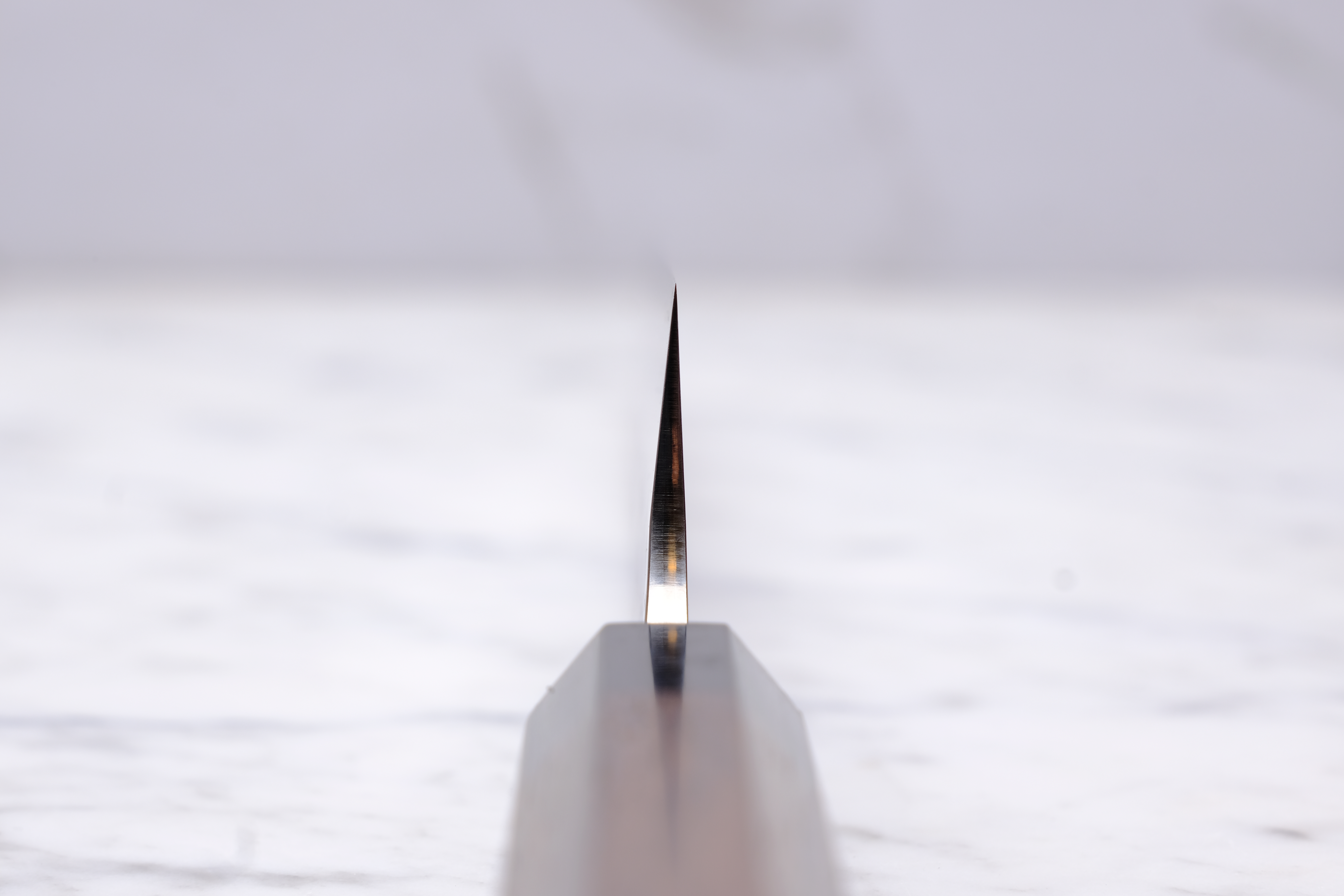 Yu Kurosaki Fujin 270 mm. Sujihiki SG2