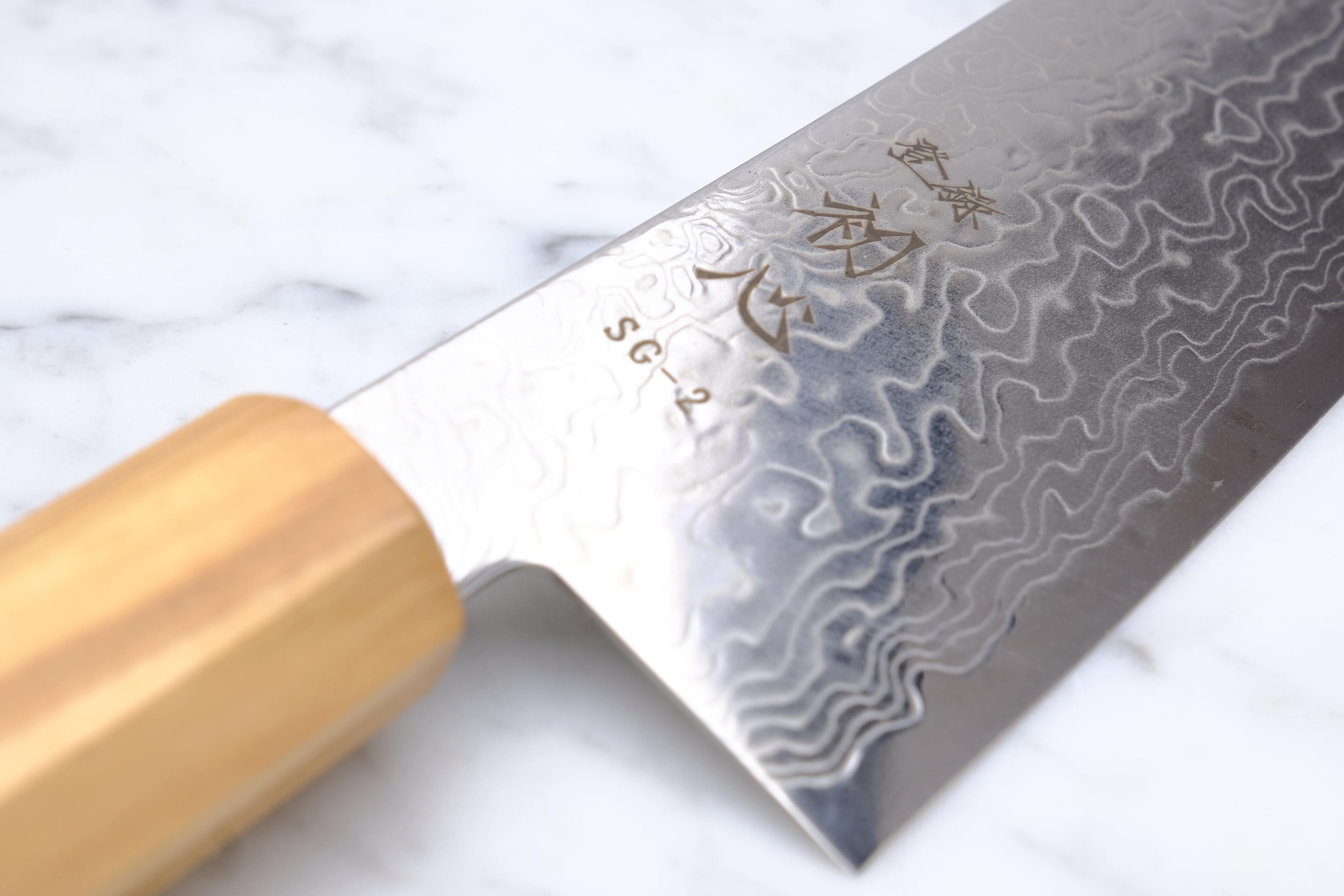 Hatsukokoro Ryuhyo 240 mm Gyuto - SG2