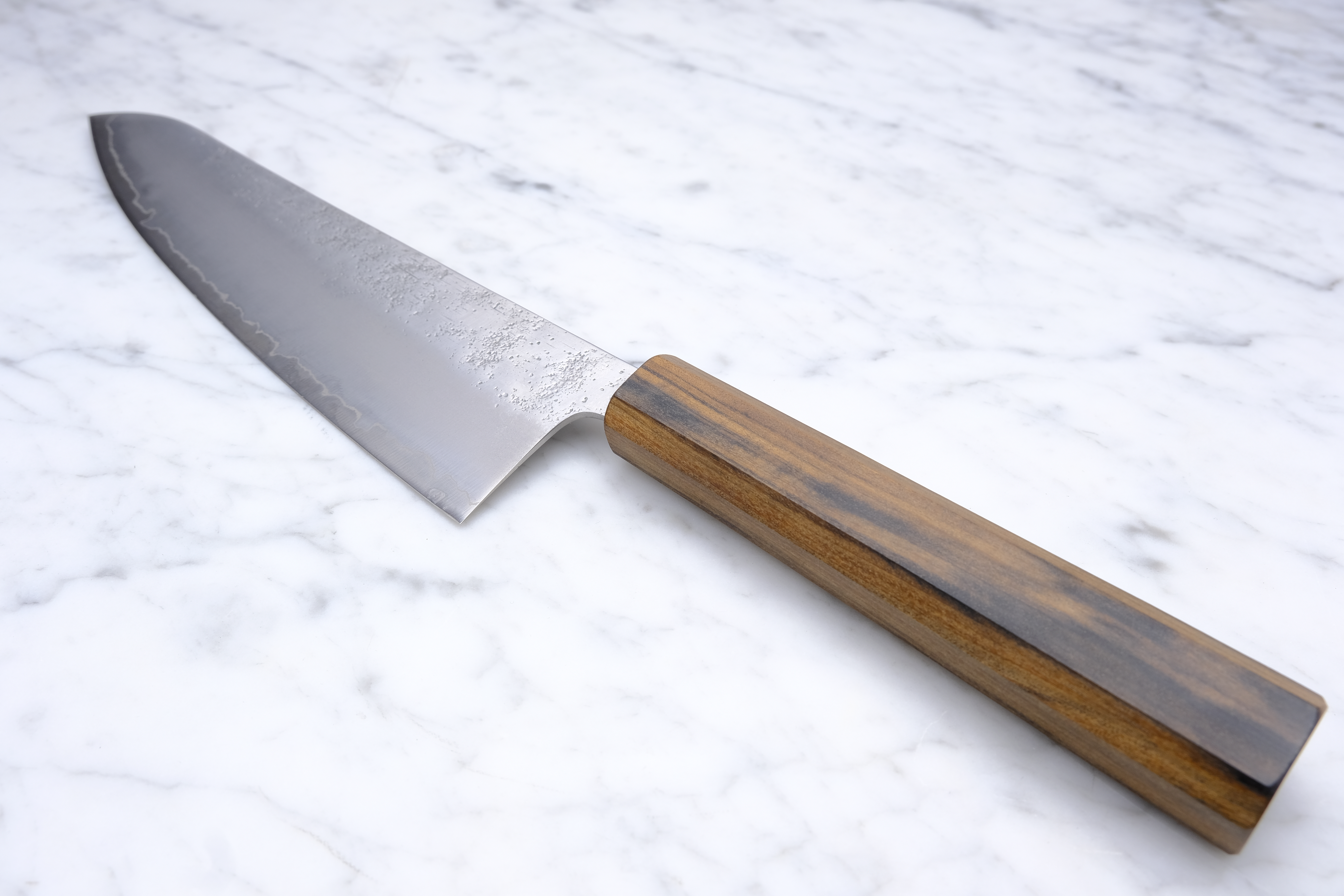 Hatsukokoro Ginrei 210mm Gyuto - Ginsan