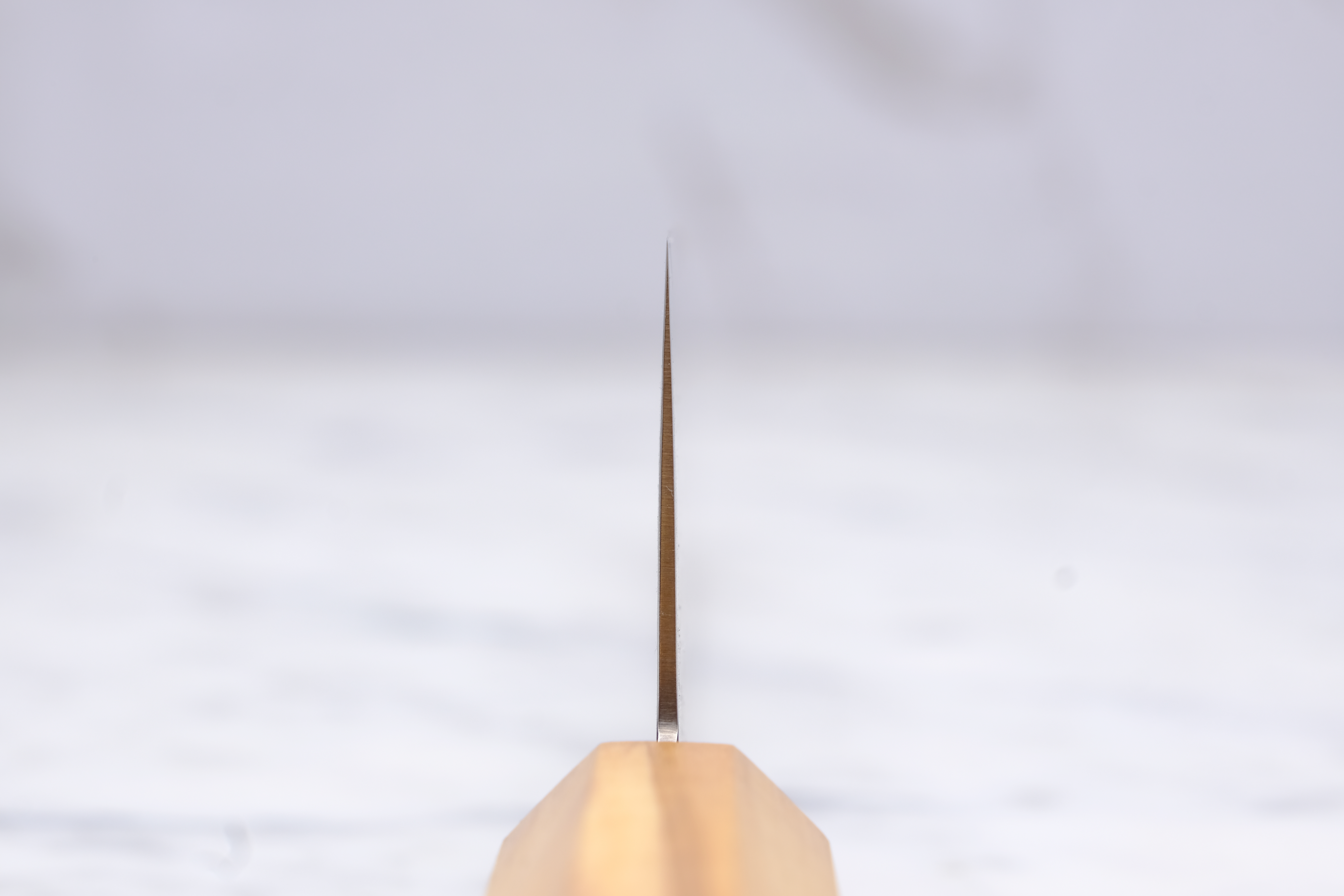 Hatsukokoro Ryuhyo 240 mm Gyuto - SG2