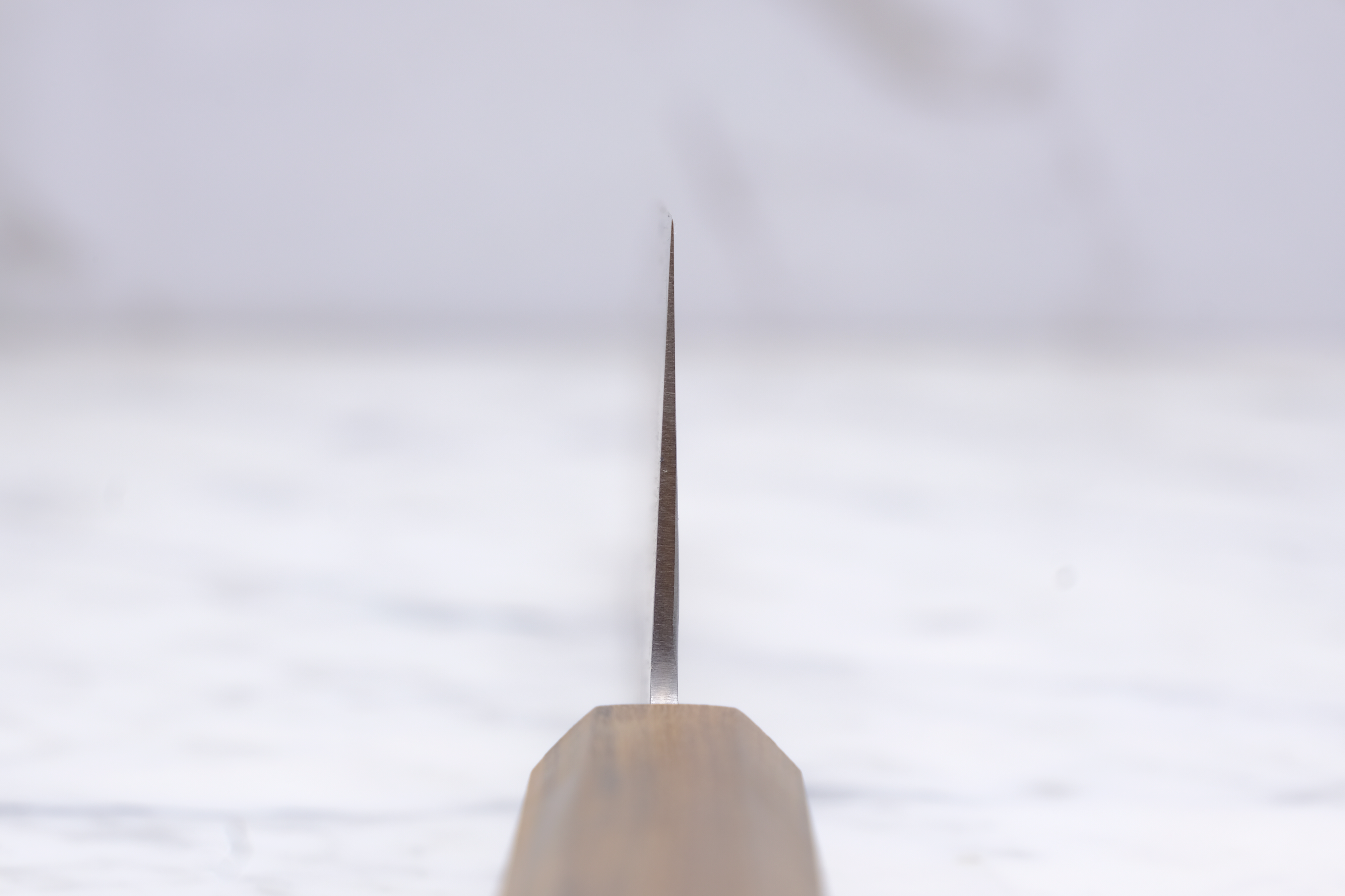 Hatsukokoro Ginrei 210mm Gyuto - Ginsan