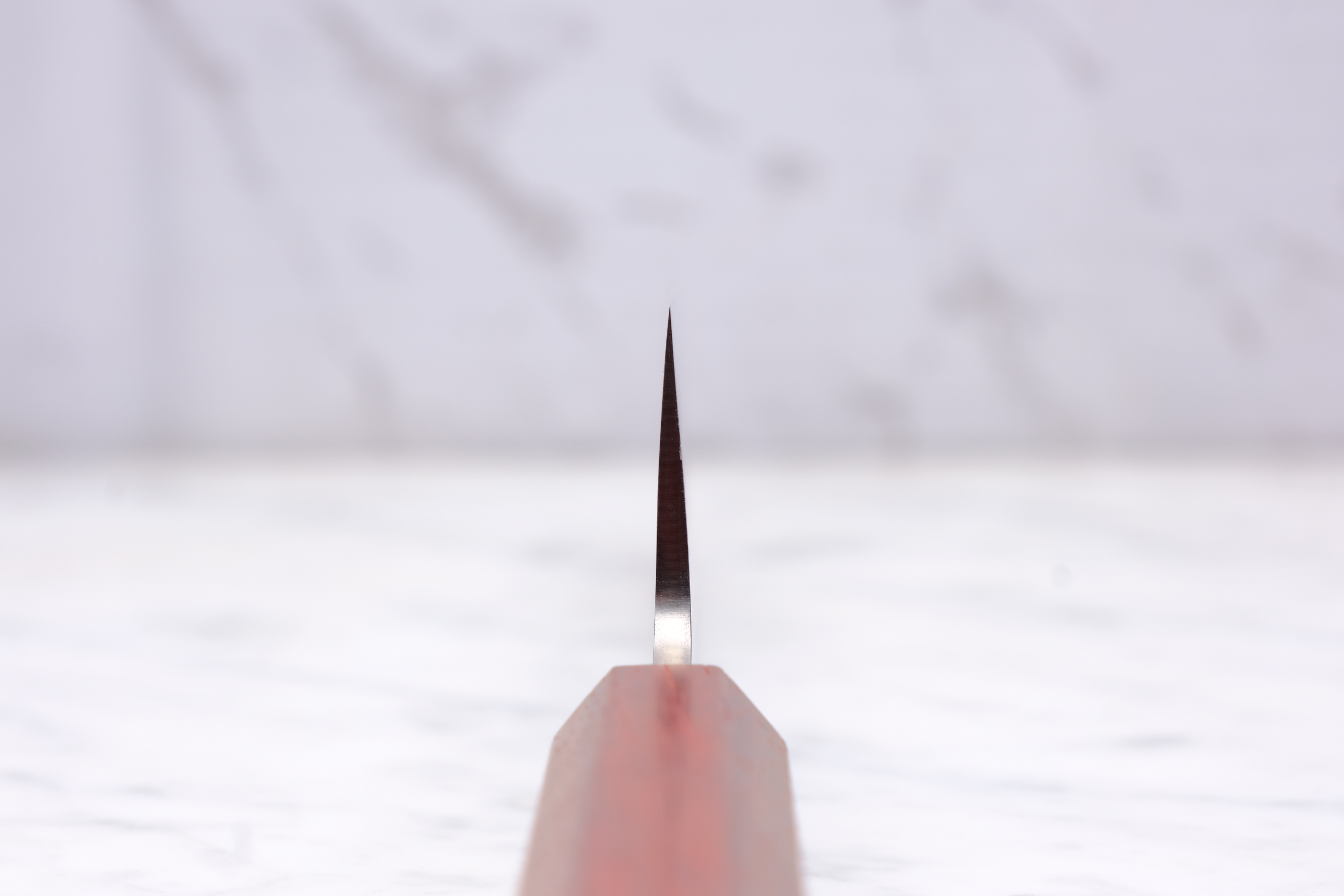 Sakai Kanechika Gyuto 240mm Ginsan - Padauk