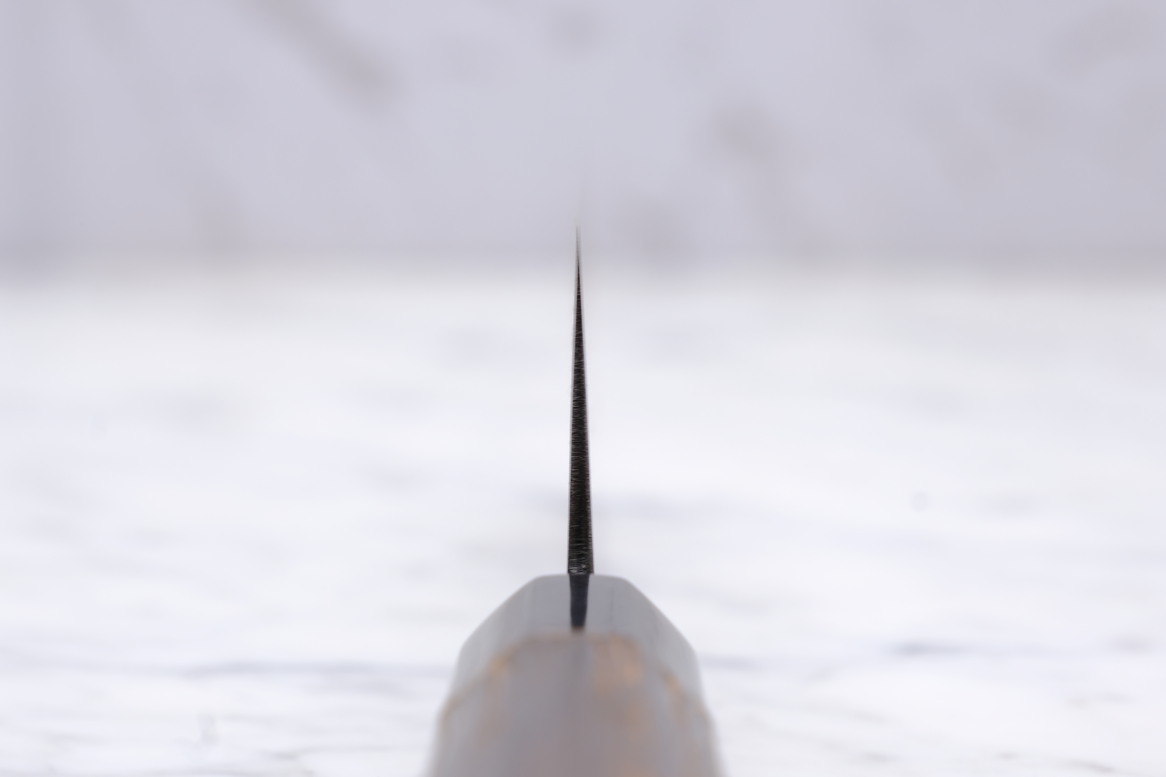 Wakui Kinjiro Migaki Shirogami 2 - 150 mm Nakiri