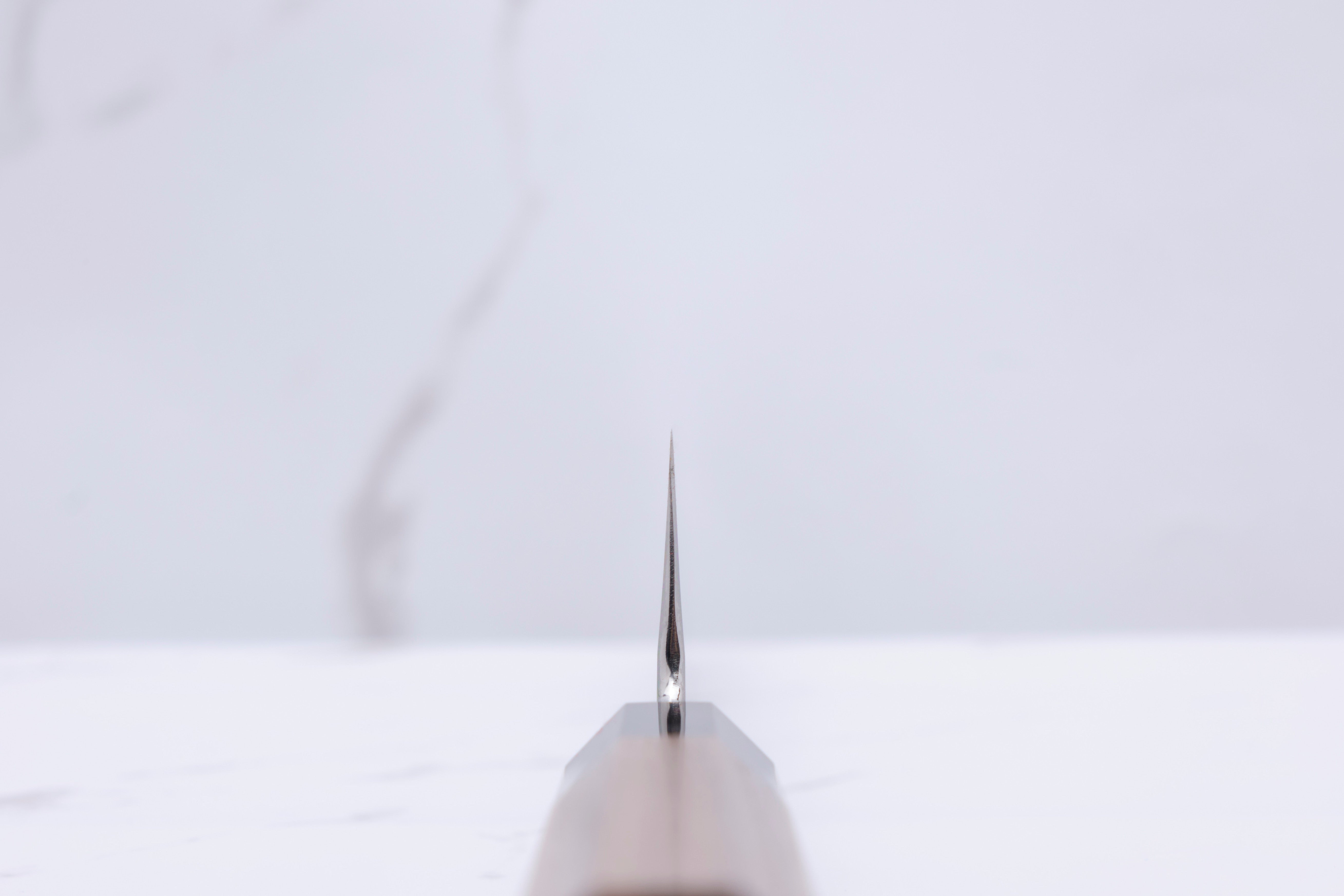 Satoshi Nakagawa 240 mm Kochmesser K-Tip Gin-3