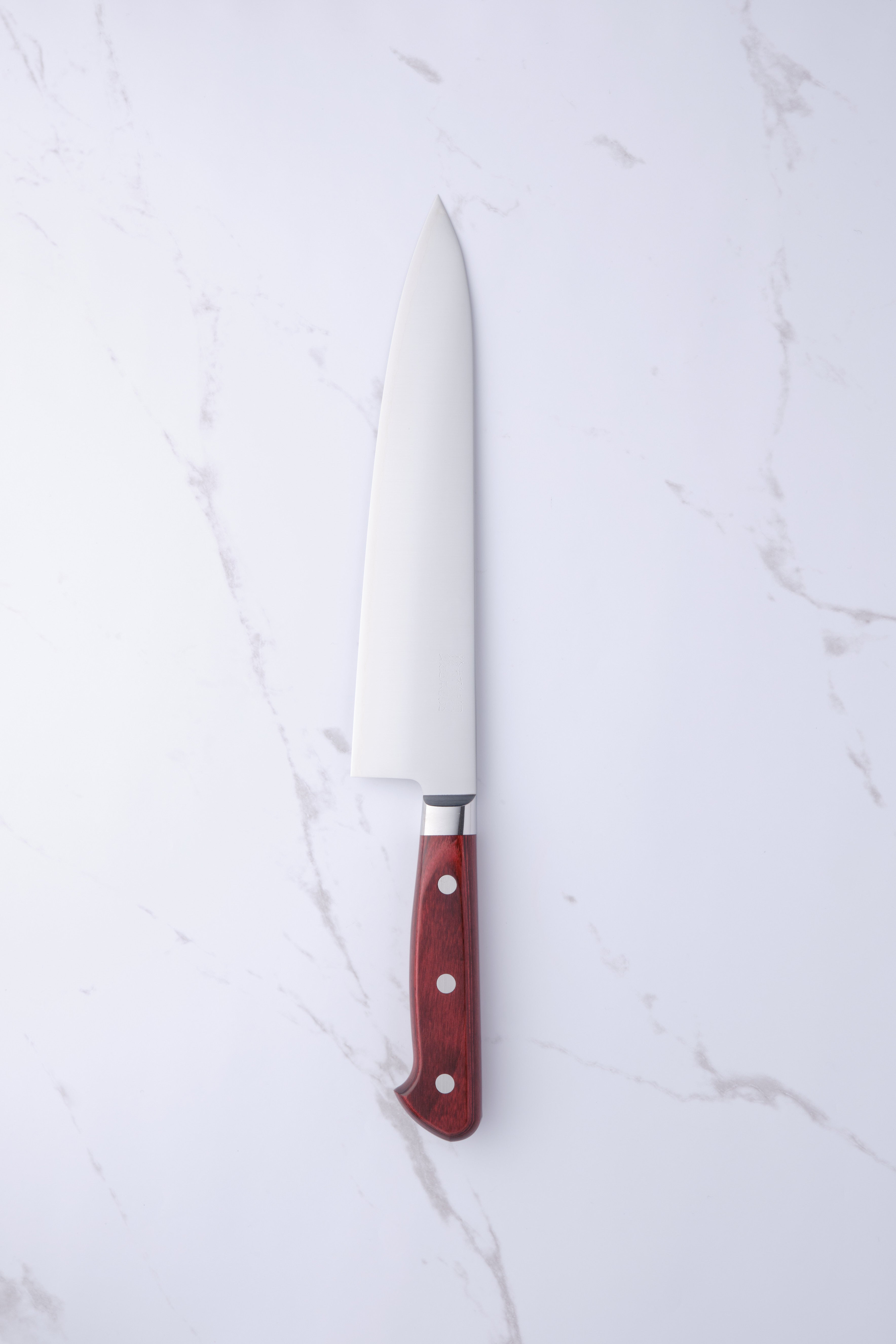 Takamura 210mm Chef's Knife - SG2