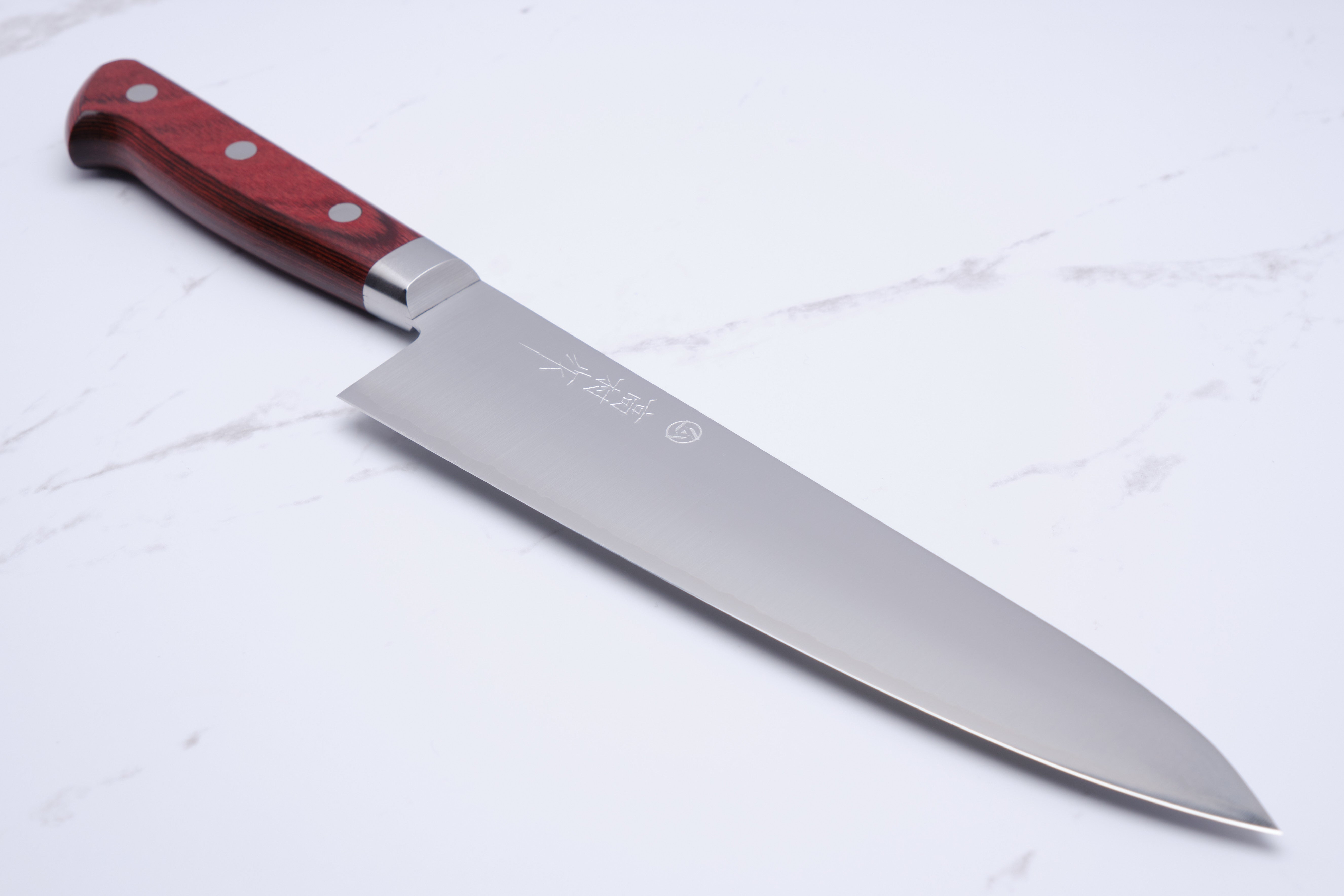 Takamura 210mm Chef's Knife - SG2