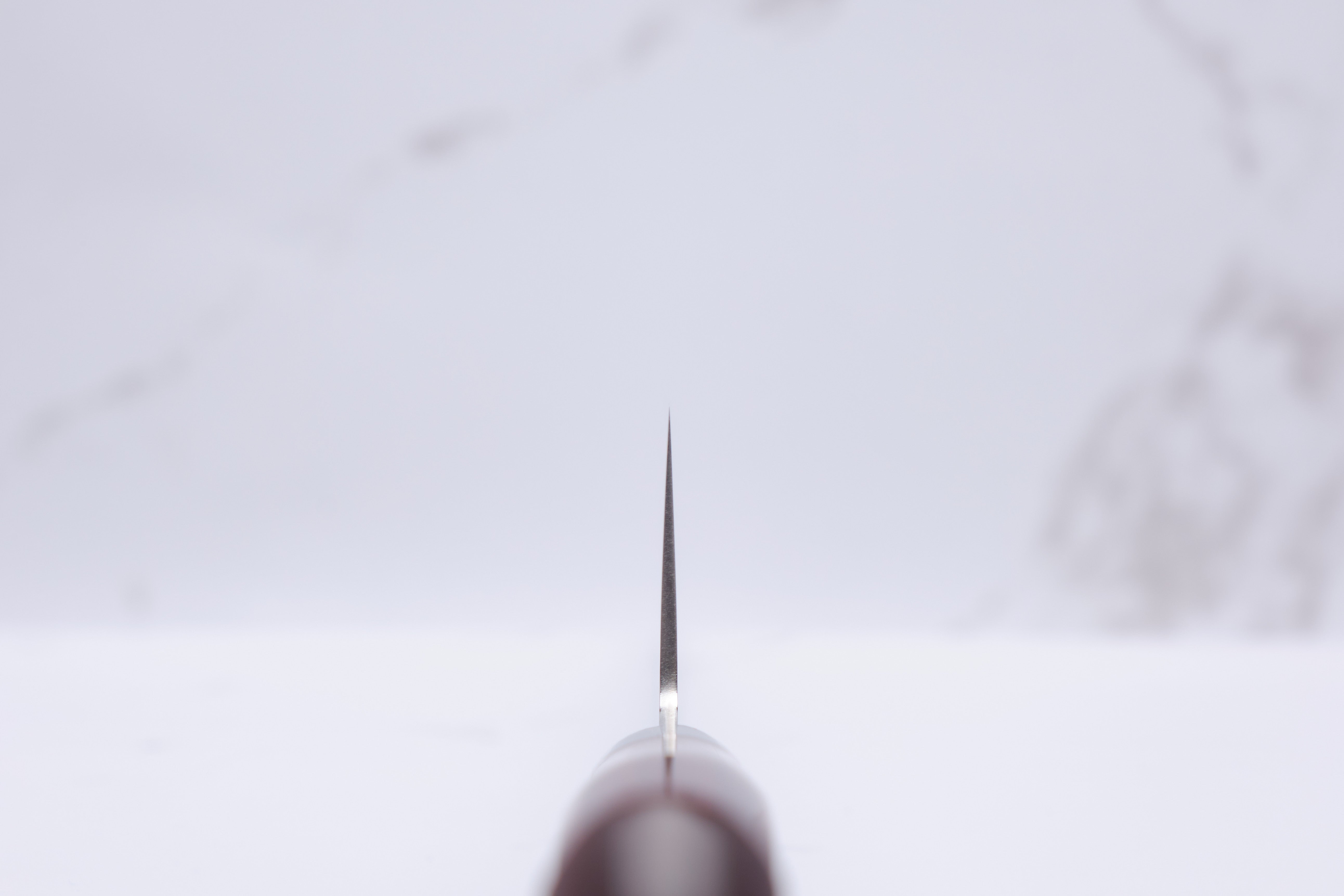 Takamura 210mm Chef's Knife - SG2
