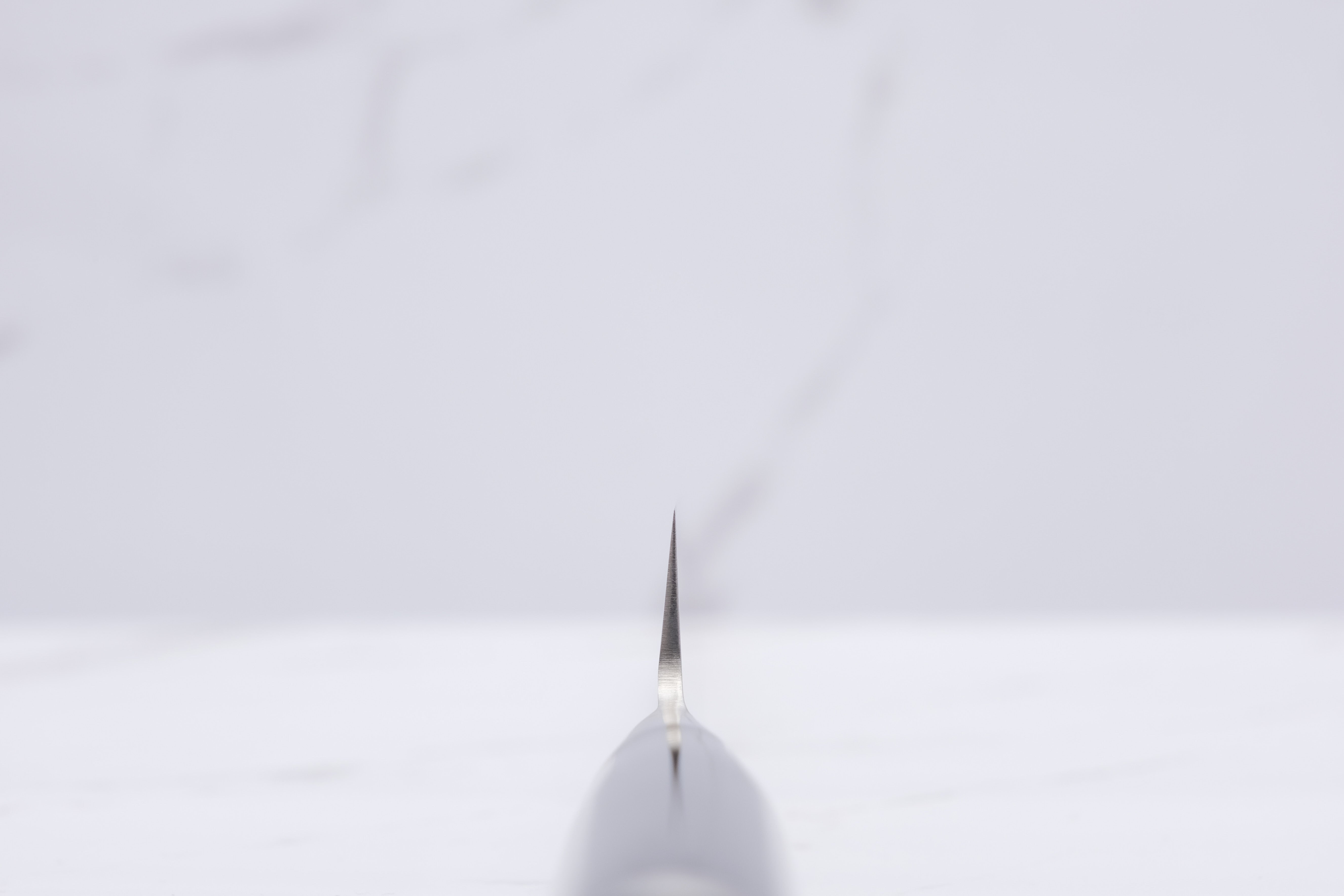 Shun Pro Sho 240 mm Yanagiba