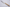 Konosuke WT Shirogami #2 Chestnut - 255 mm Gyuto