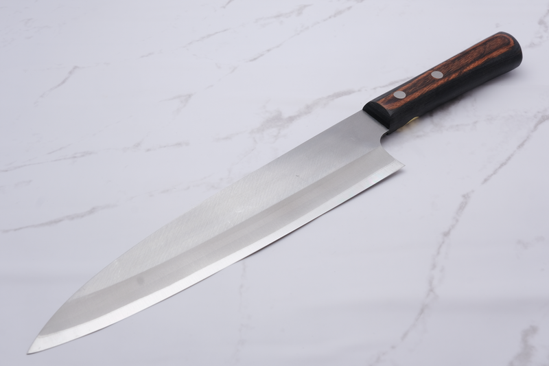 Sakai Kanechika 210 mm Chef's Knife Aogami-2