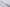 Konosuke GS+ 240 mm K-Tip Gyuto - Khii Chestnut
