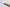 Perceval 9.47 Steakkniv