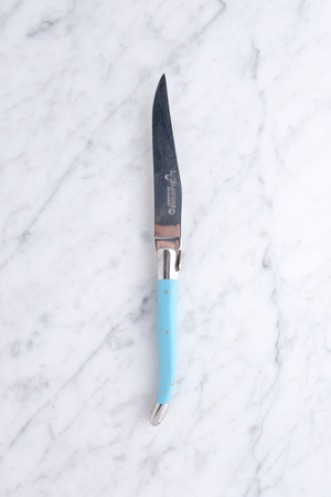 Steak knife - Turquoise