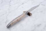 Steak knife - Scallop