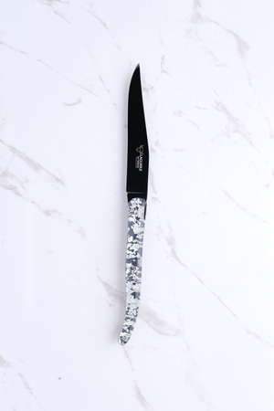 Steak Knife - Silver and Titanium