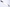 Shun Classic Wide - 190 mm Santoku