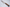 Takeshi Saji Aogami #2 Rainbow Damascus Western Ironwood - 240 mm Gyuto