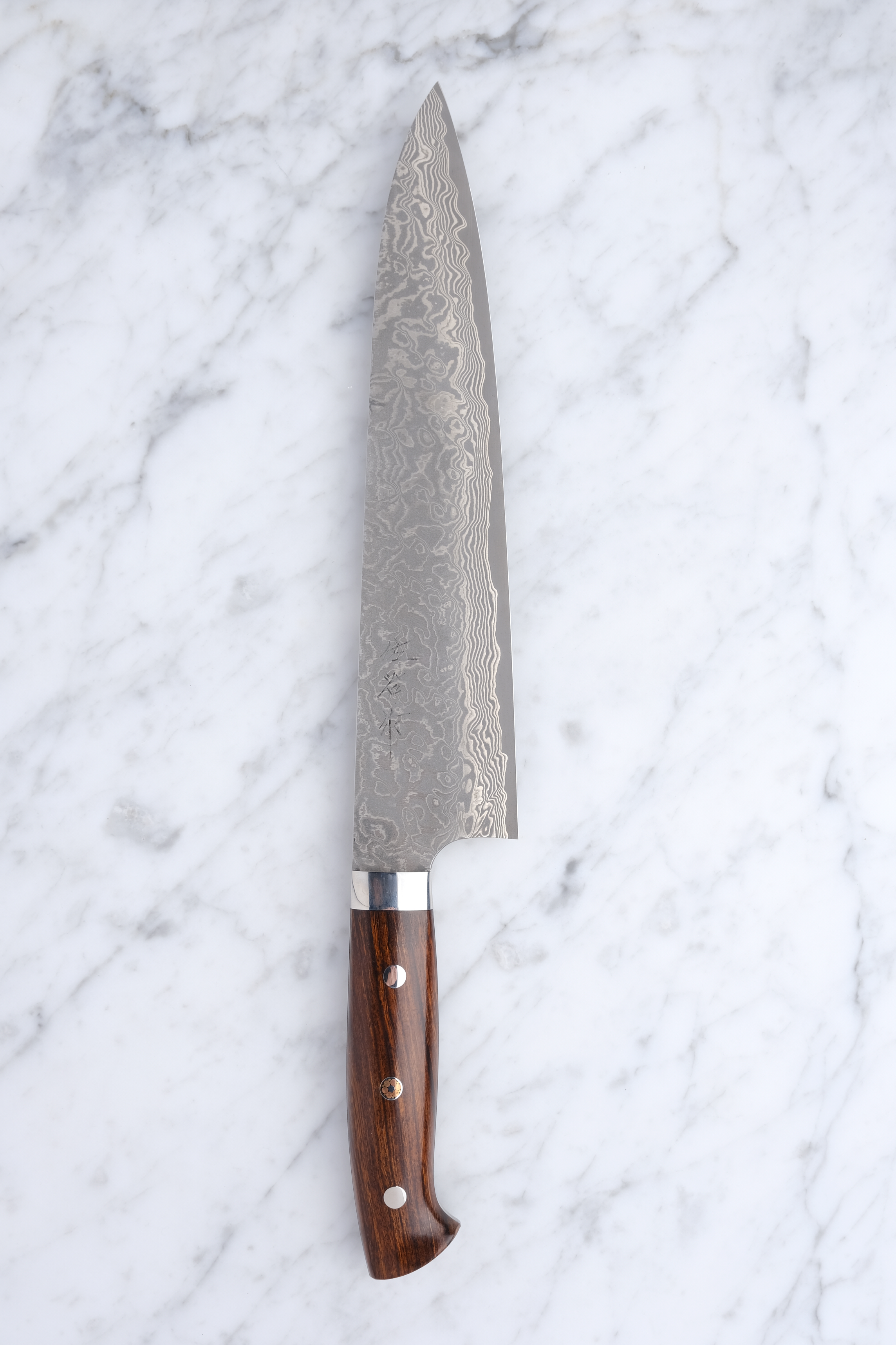 Takeshi Saji 240mm Gyuto SG2 - Western Ironwood