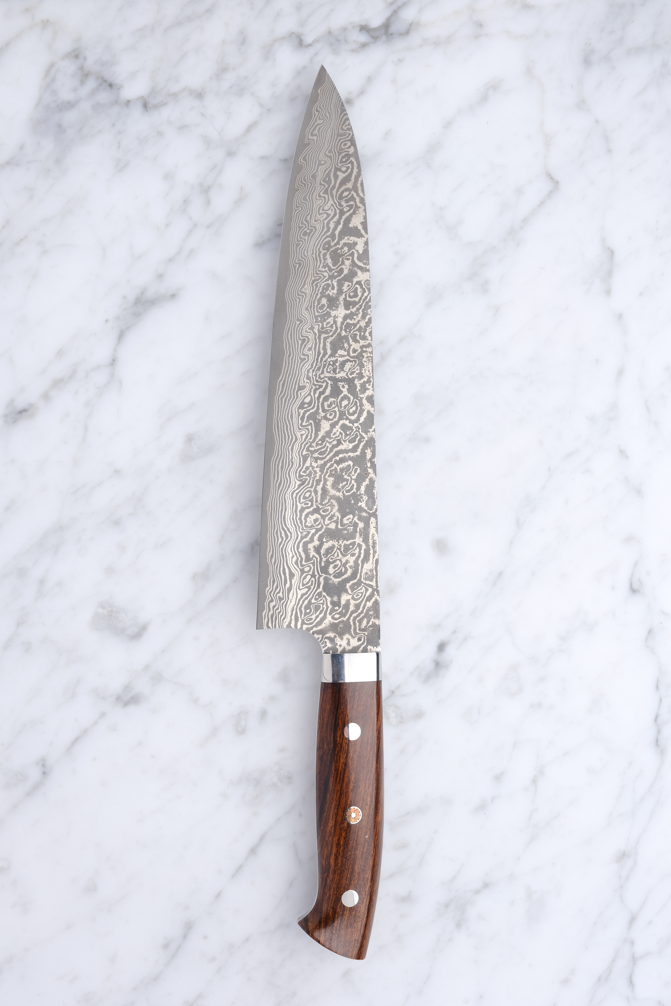 Takeshi Saji 240mm Gyuto SG2 - Western Ironwood