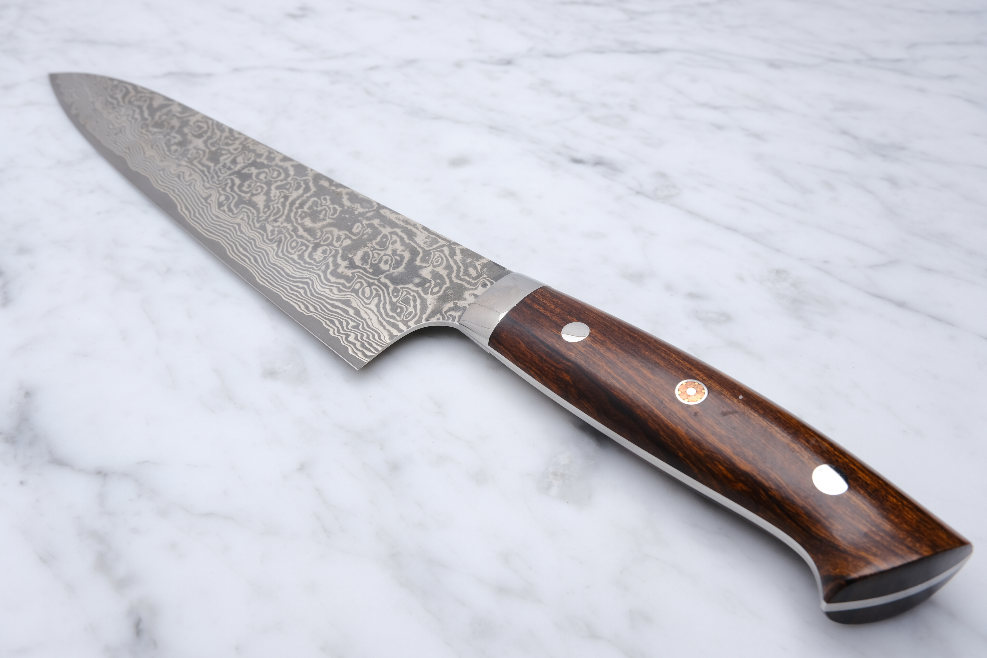 Takeshi Saji 240mm Gyuto SG2 - Western Ironwood