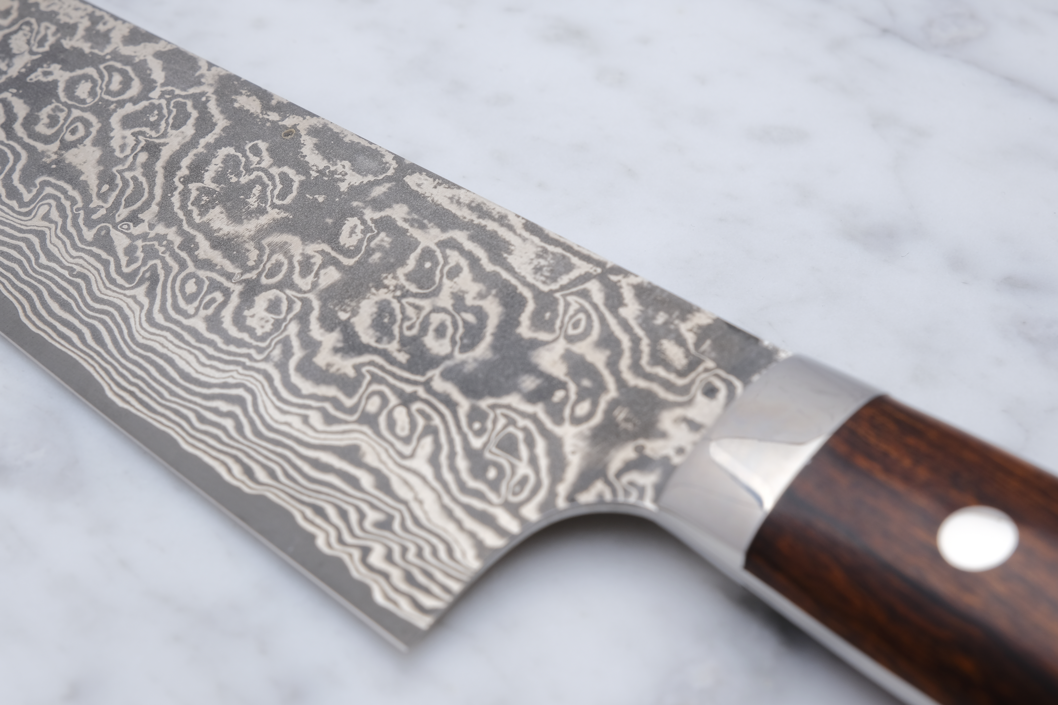 Takeshi Saji 240mm Gyuto SG2 - Western Ironwood