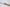 Perceval 9.47 Steakkniv