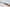 Perceval 8.88 Oak Wine Barrel Steak Knife