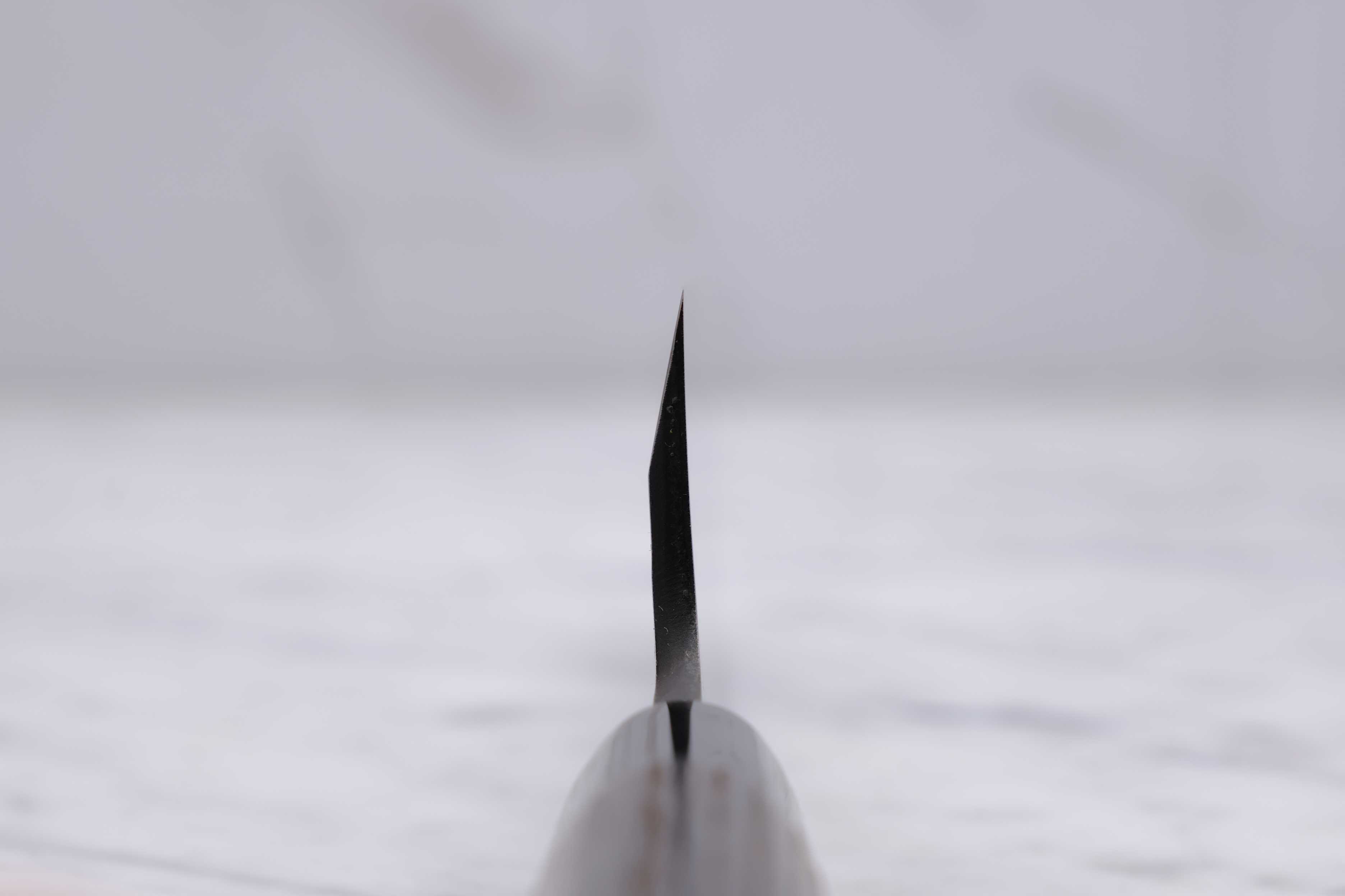 Yamatani Kurouchi Tsuchime 165 mm Mioroshi Deba - Shirogami 2