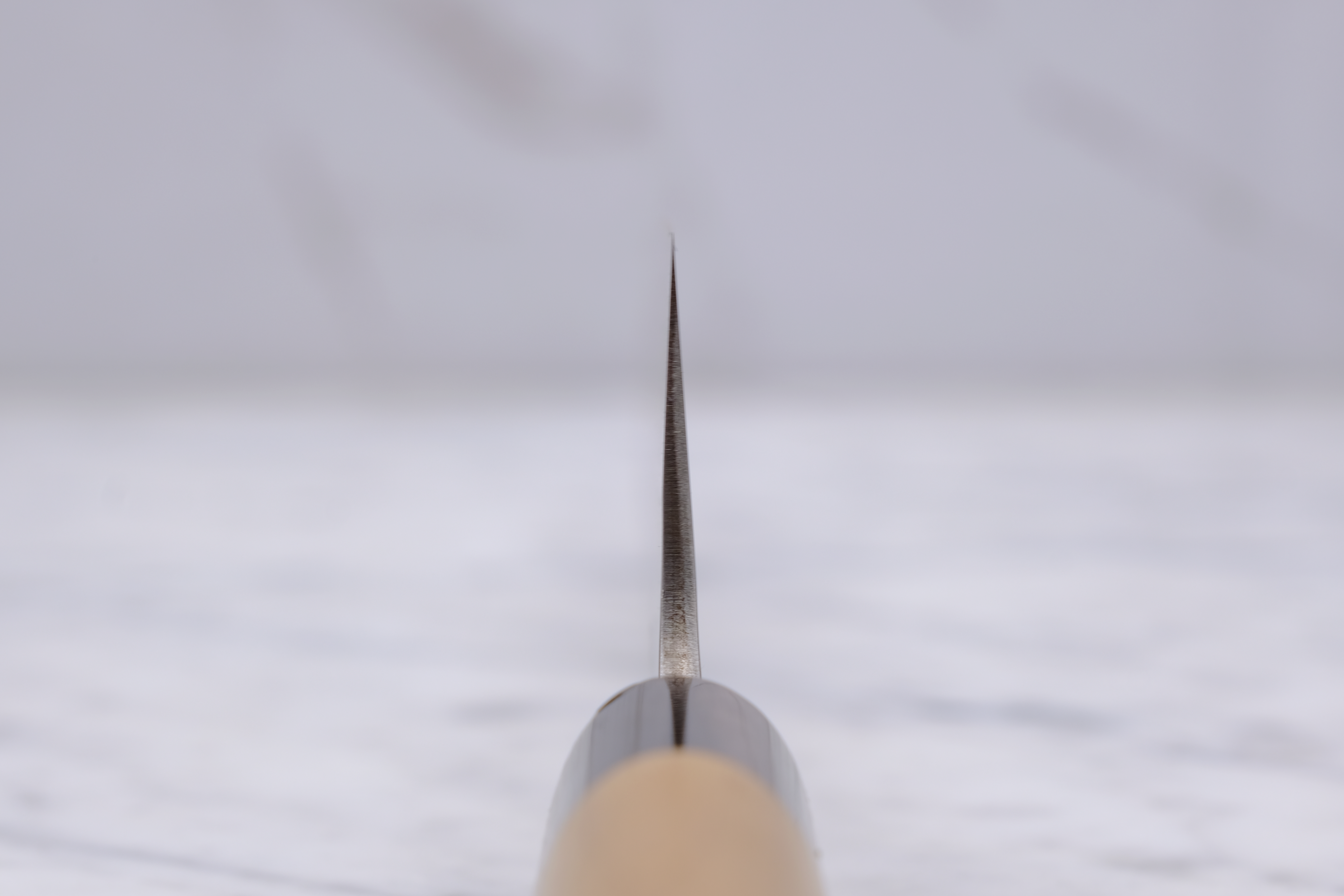Yoshikane Tsuchime 'Old Stock' 240mm Gyuto - Shirogami 2
