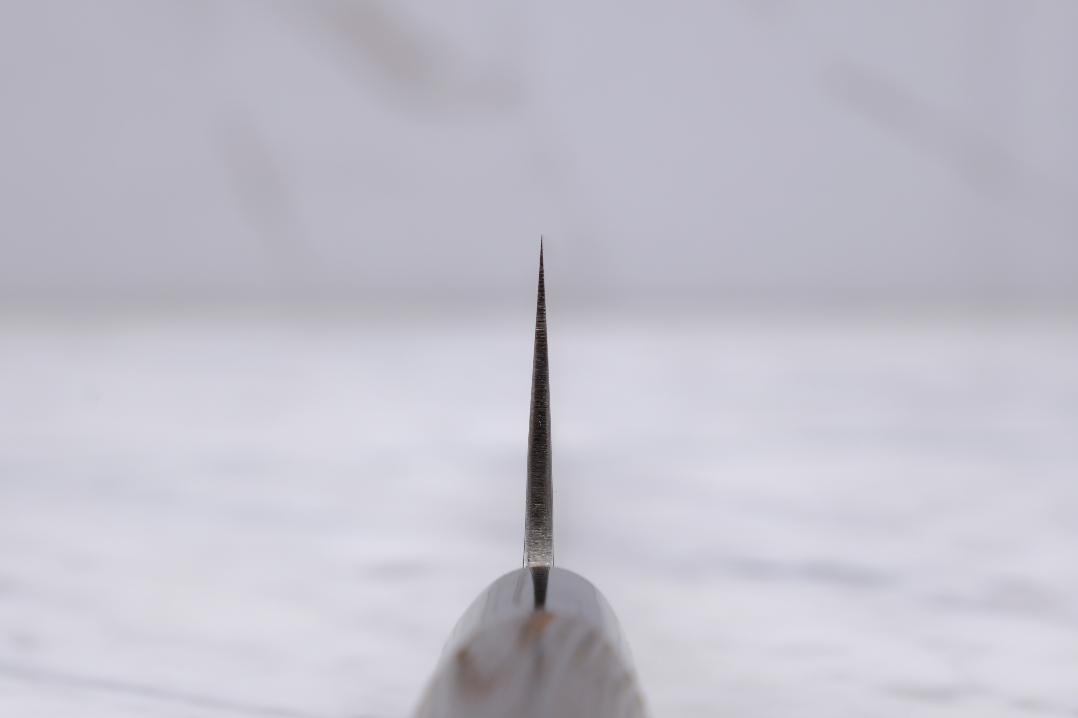 Yoshikane Tsuchime 'Old Stock' 210mm Gyuto - Shirogami 2