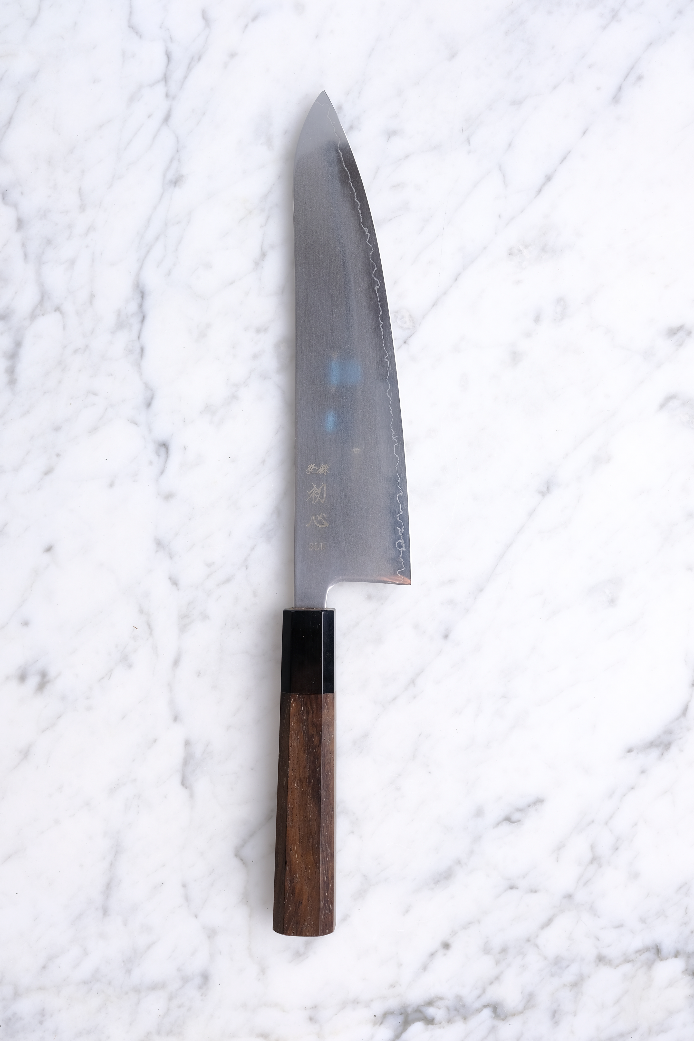 Hatsukokoro Hikari 210 mm Gyuto - SLD