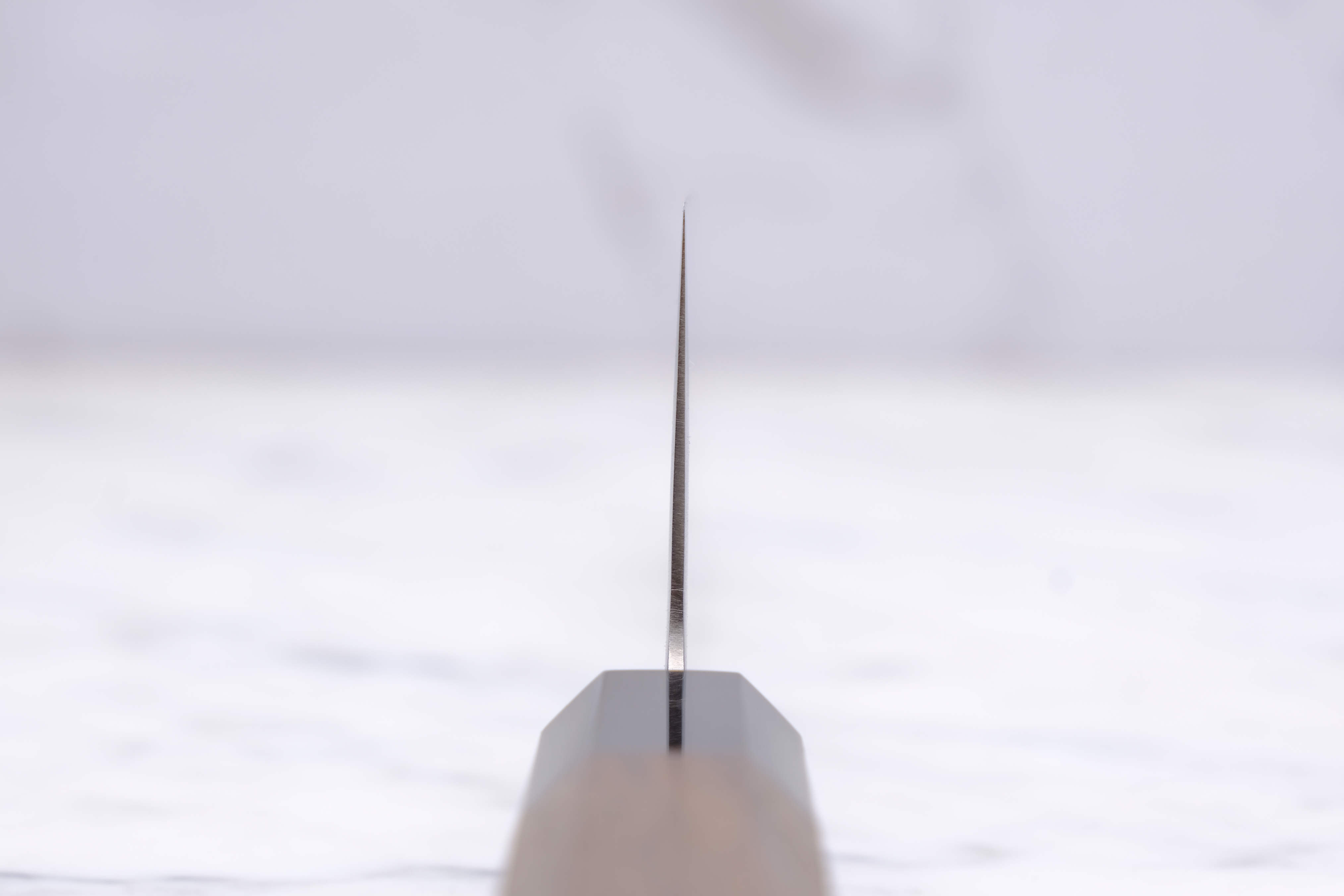 Hatsukokoro Hikari 210 mm Gyuto - SLD