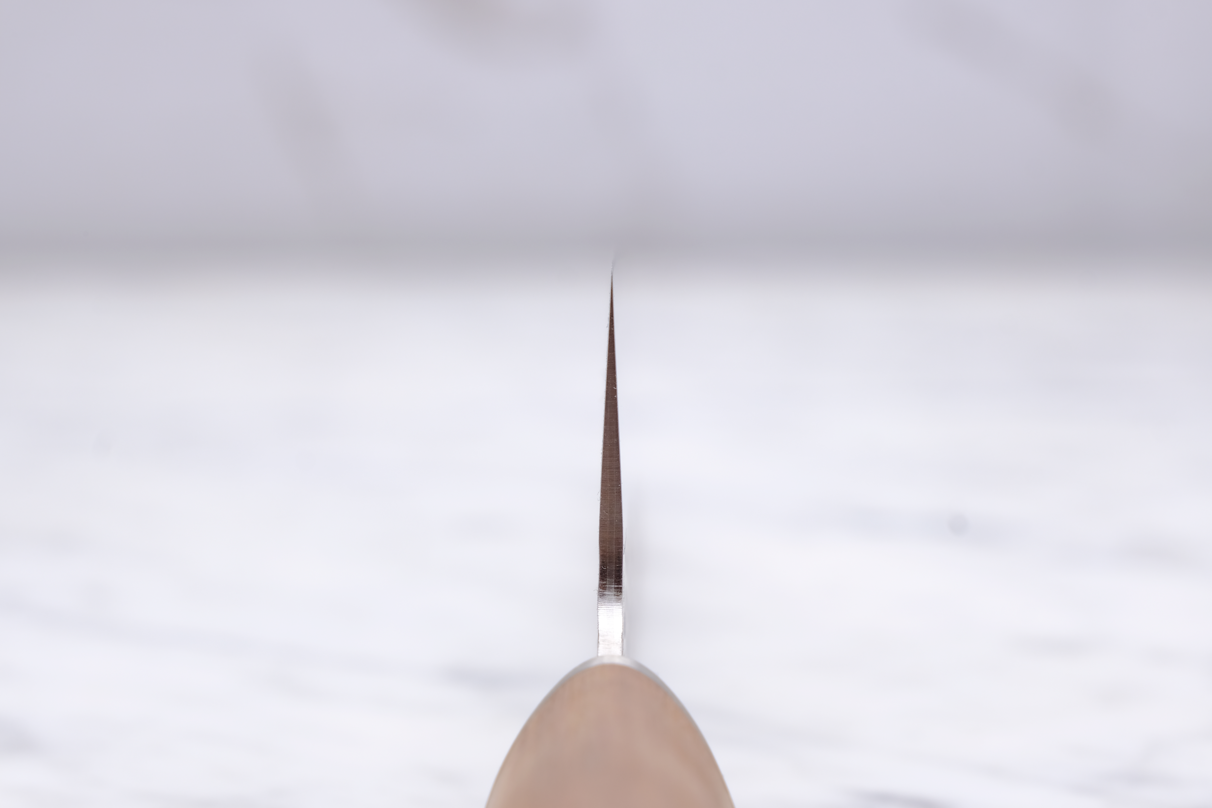 Foodgear Hamono 200 mm Gyuto - VG-10