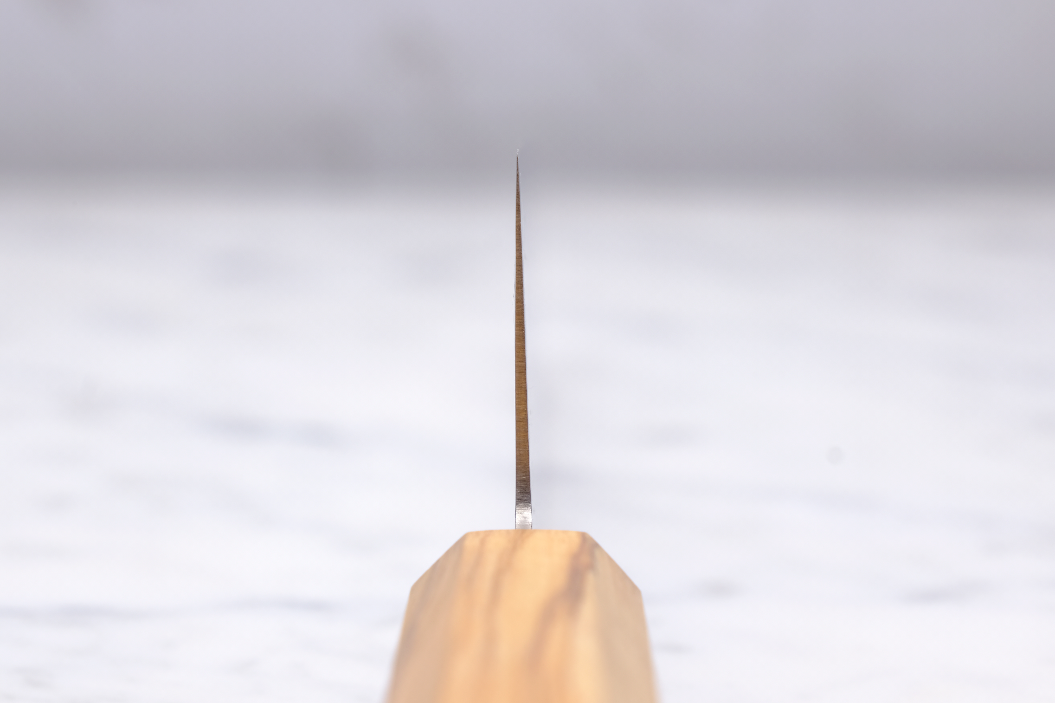 Hatsukokoro Ryuhyo 210 mm K-Tip Gyuto - SG2